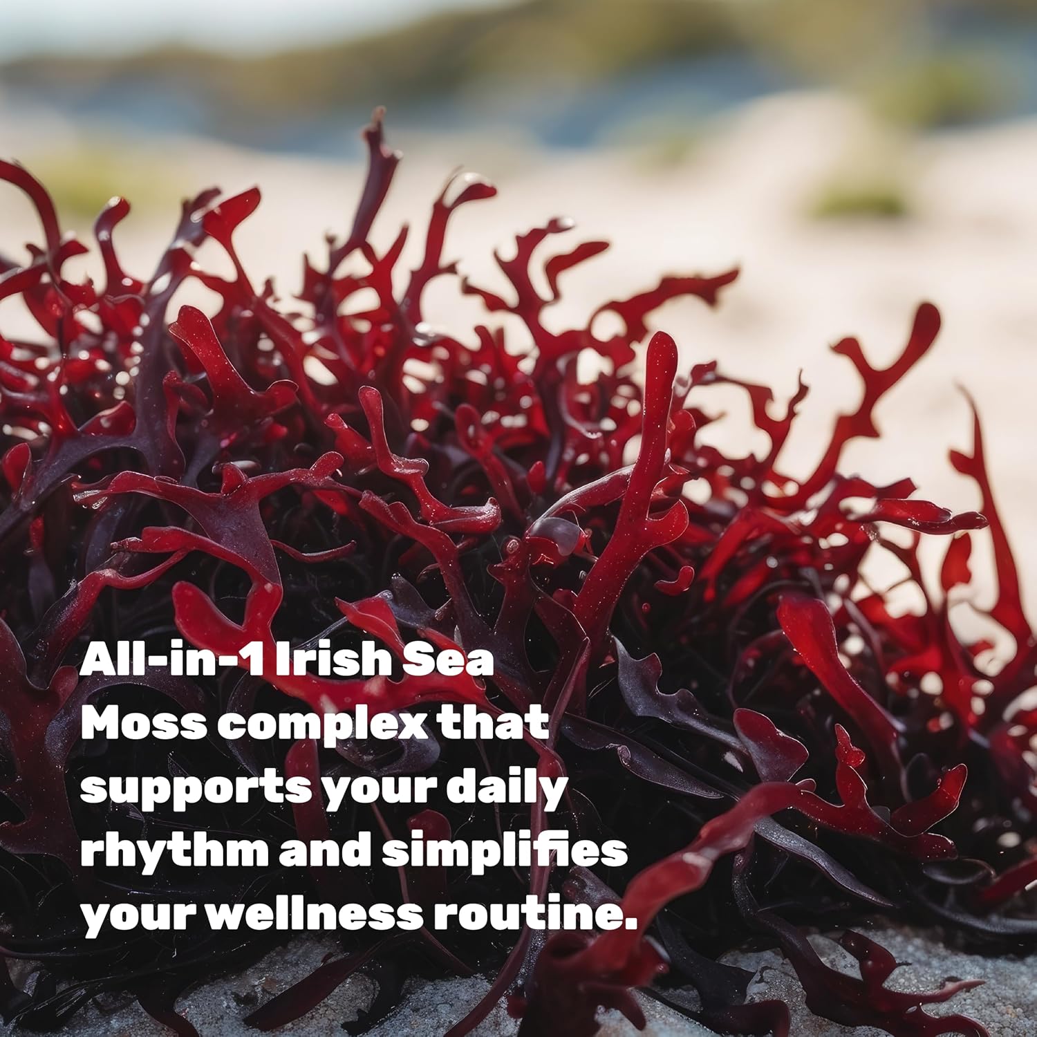 Detalle 2 de DEAL Irish Sea Moss Supplement, 240 Capsules