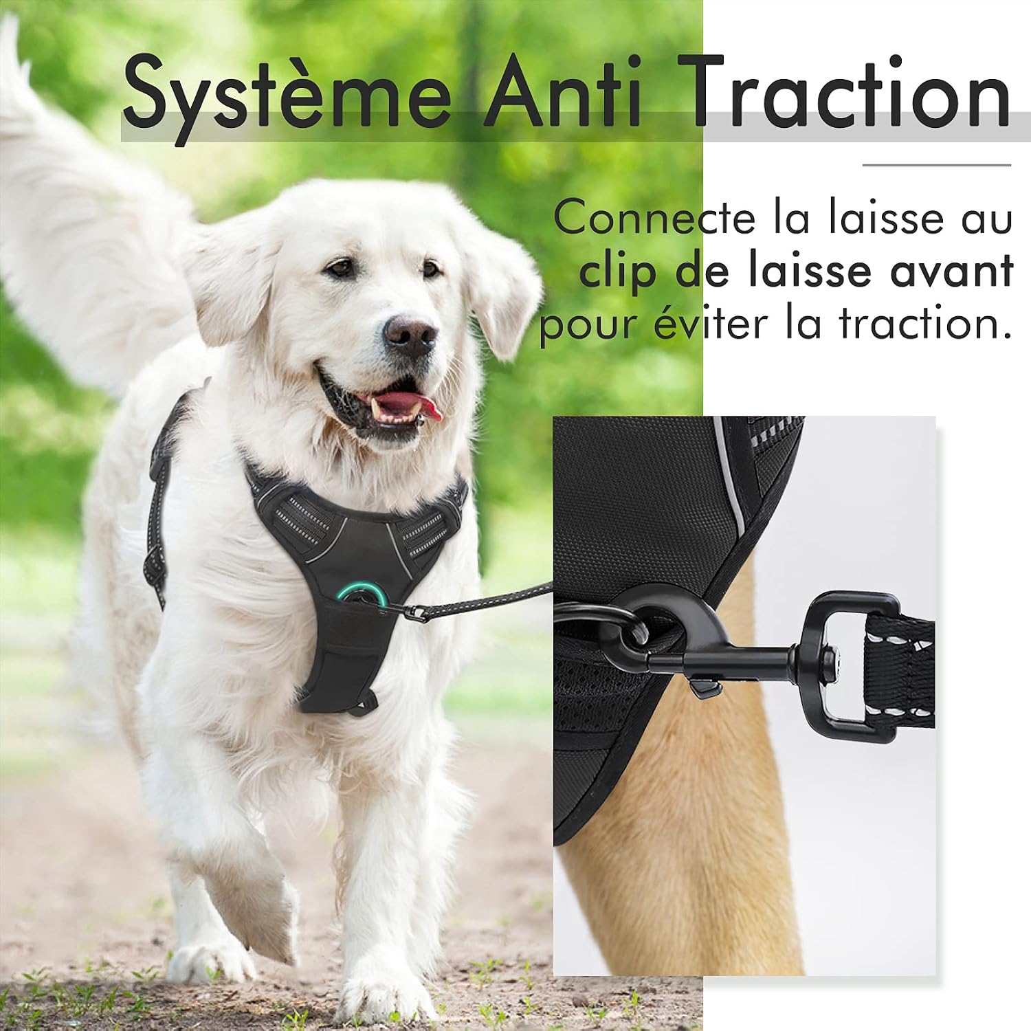 Detalle de Rabbitgoo Harnais Chien Réglable Gilet avec Poignée et Réflectant — Taille M (41-56 cm/38-71 cm)