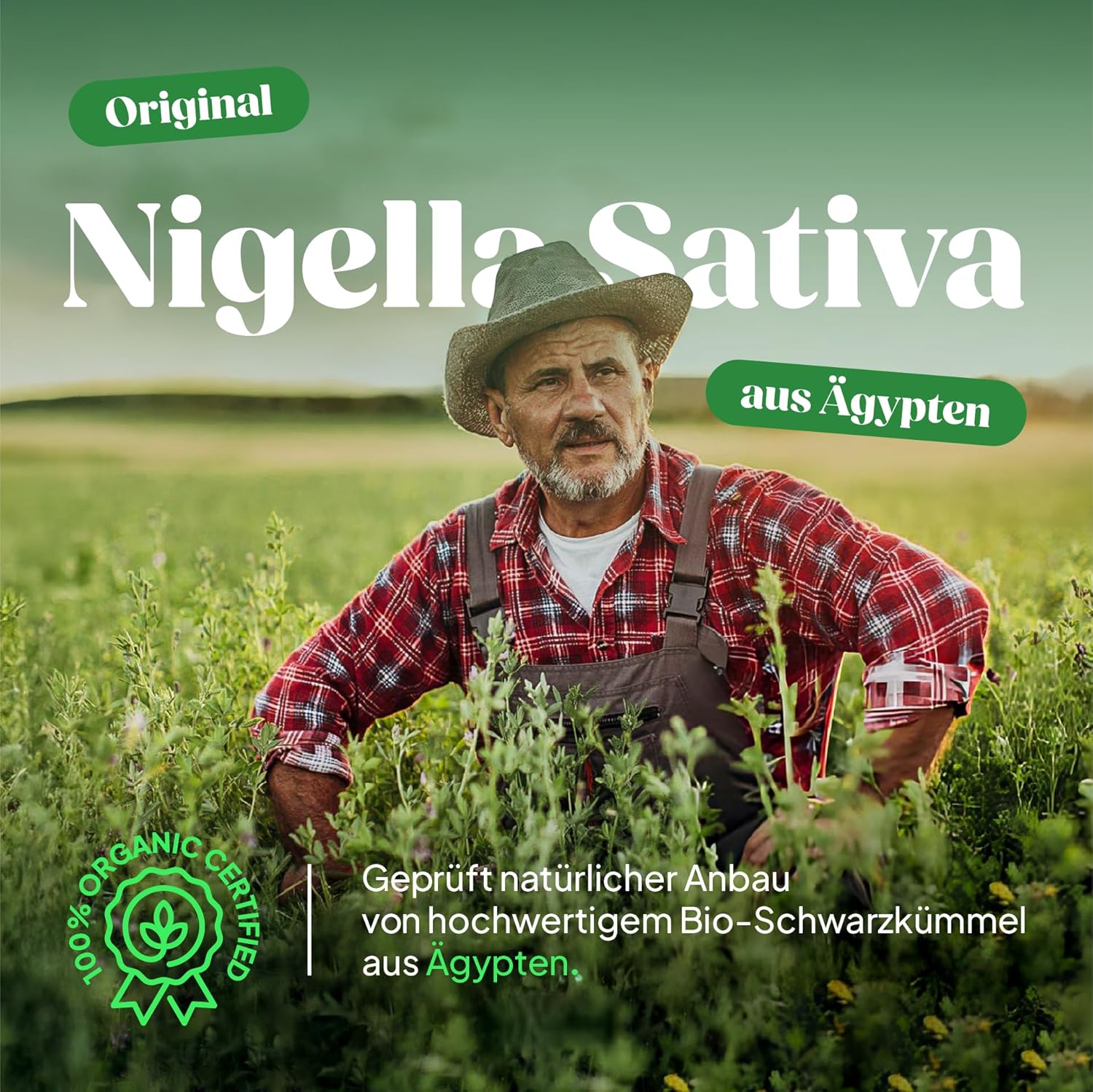 Thumbnail 6 de Kaltgepresstes Schwarzkümmelöl Bio (ungefiltert) – 4×250 ml, 250 ml im 4er-Pack