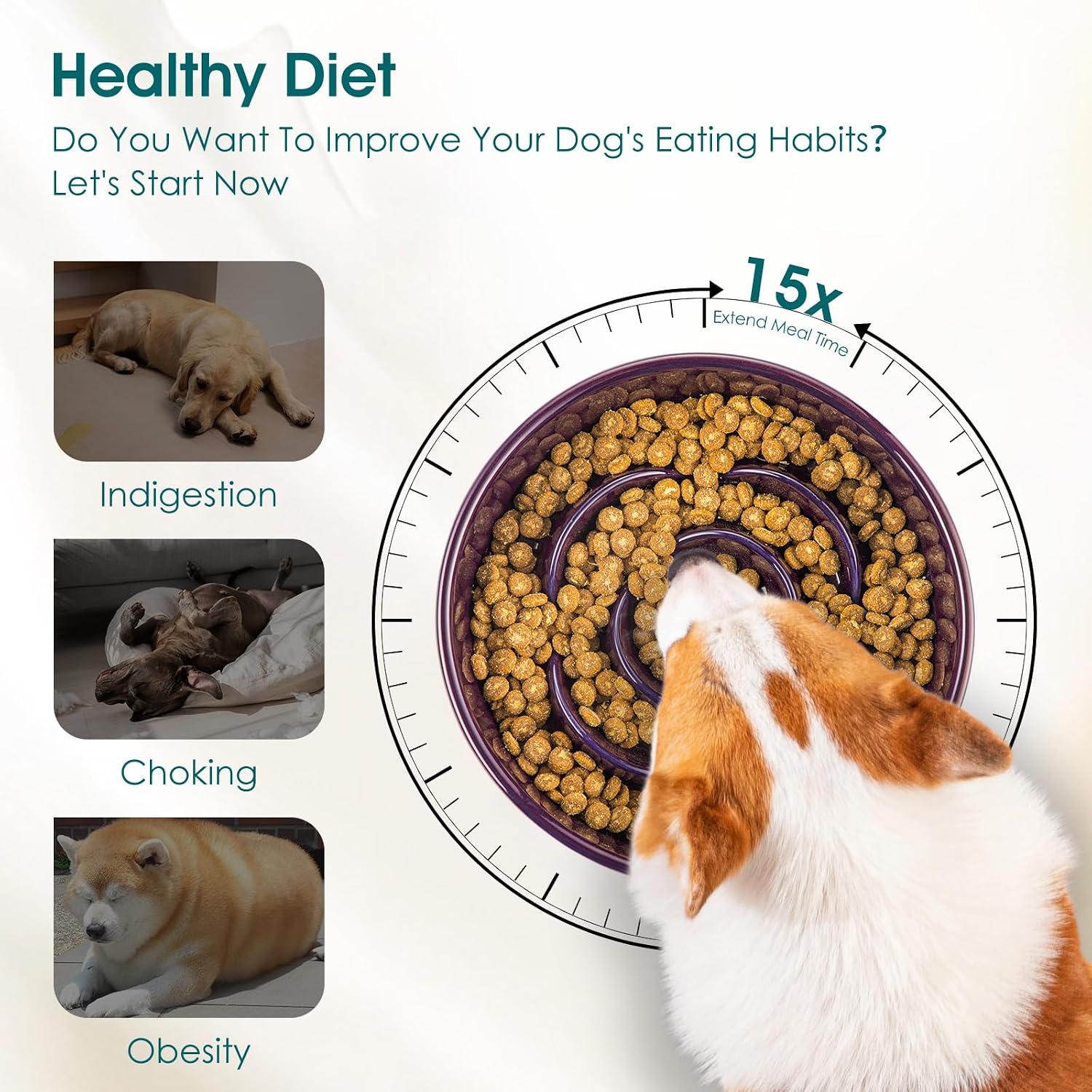 Thumbnail 6 de vancasso Ceramic Slow Feeder Dog Bowl