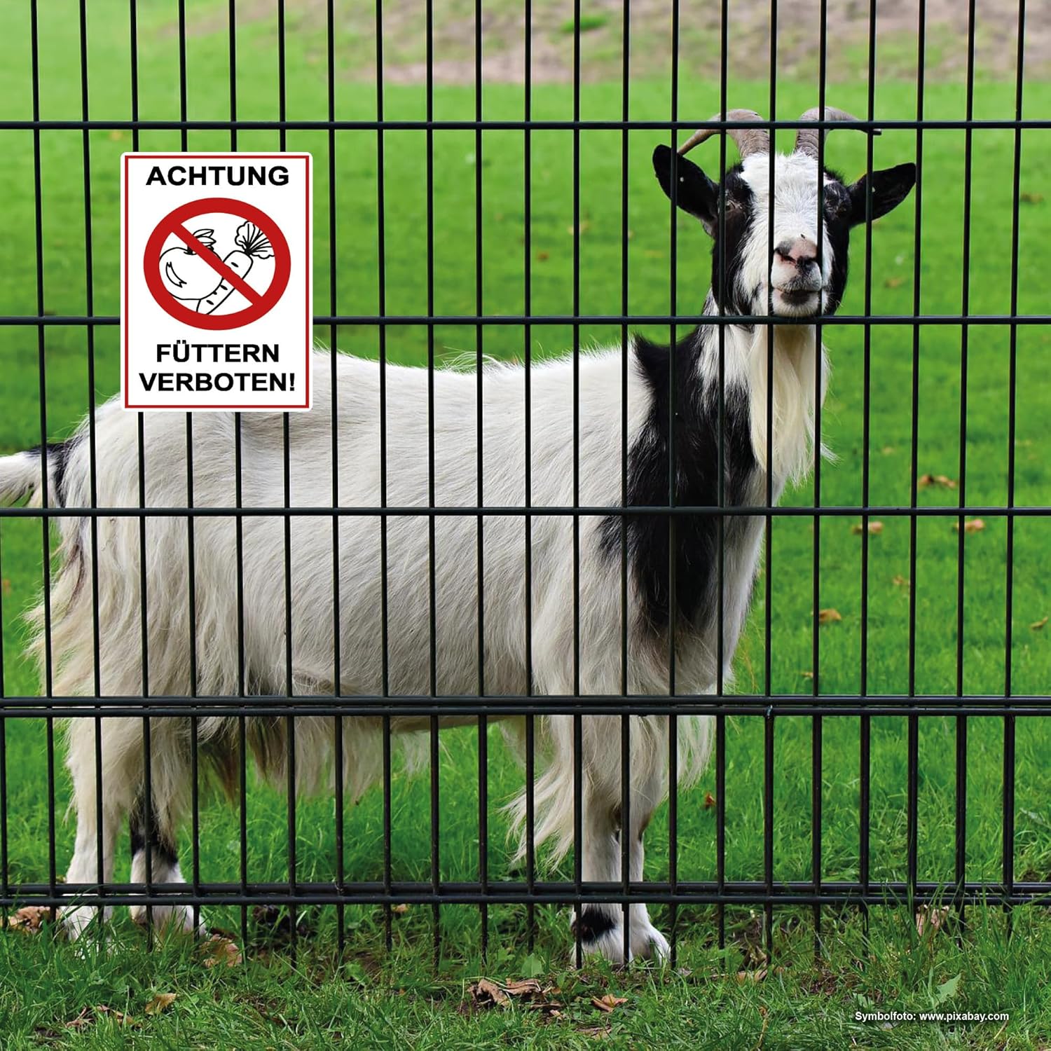 Thumbnail 4 de STROBO Hinweisschild 2 Stück – Achtung füttern verboten! 20x30 cm, UV-beständig, wetterfest