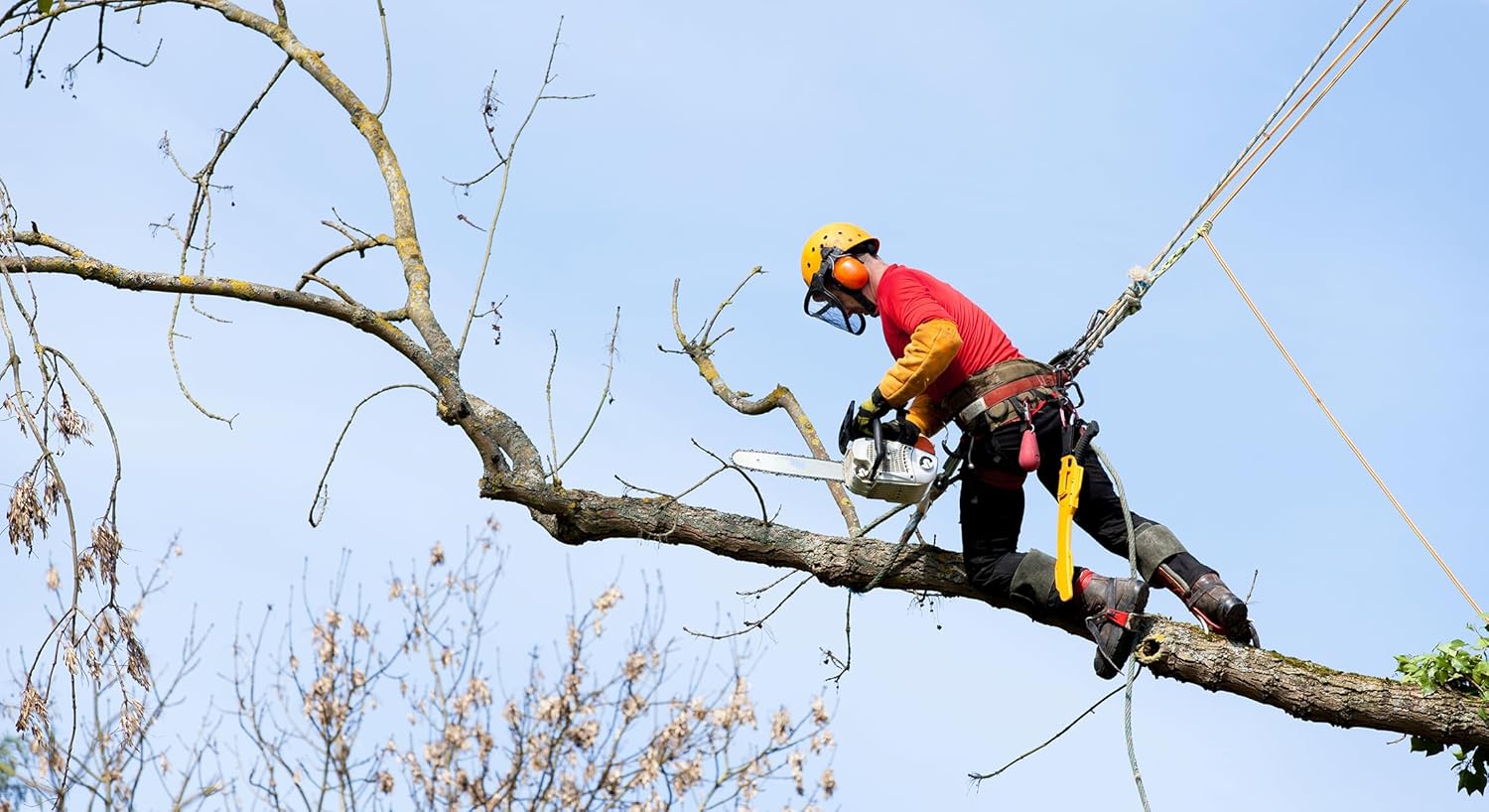 Thumbnail 4 de NorthPada 10mm Climbing Rope