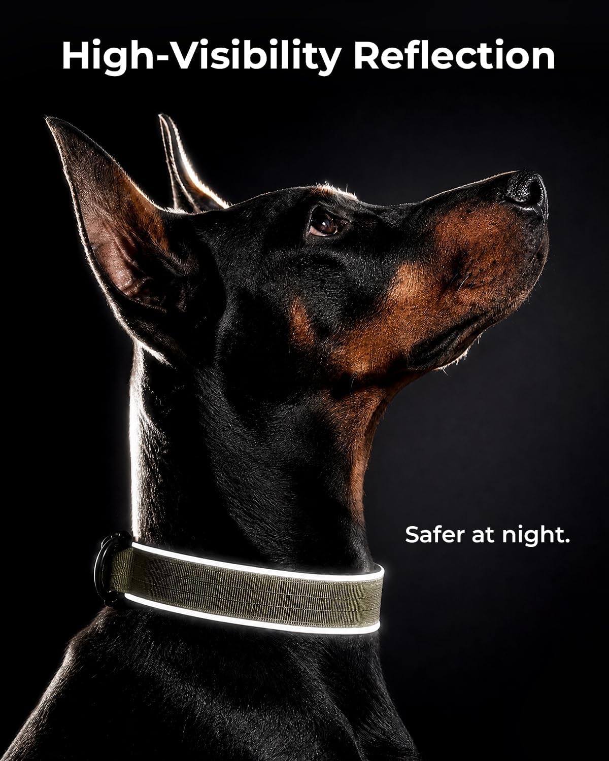 Detalle 2 de DO NOT PET Tactical Dog Collar, Large