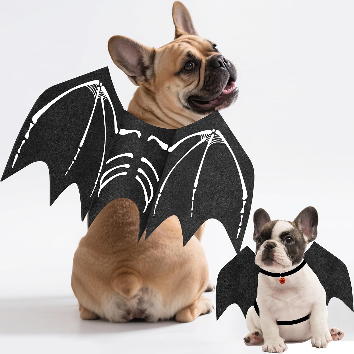 Detalle de OLANRUN OL-Halloween-Dog Small Dog Bat Costume with Skeleton Print and Pumpkin Bell