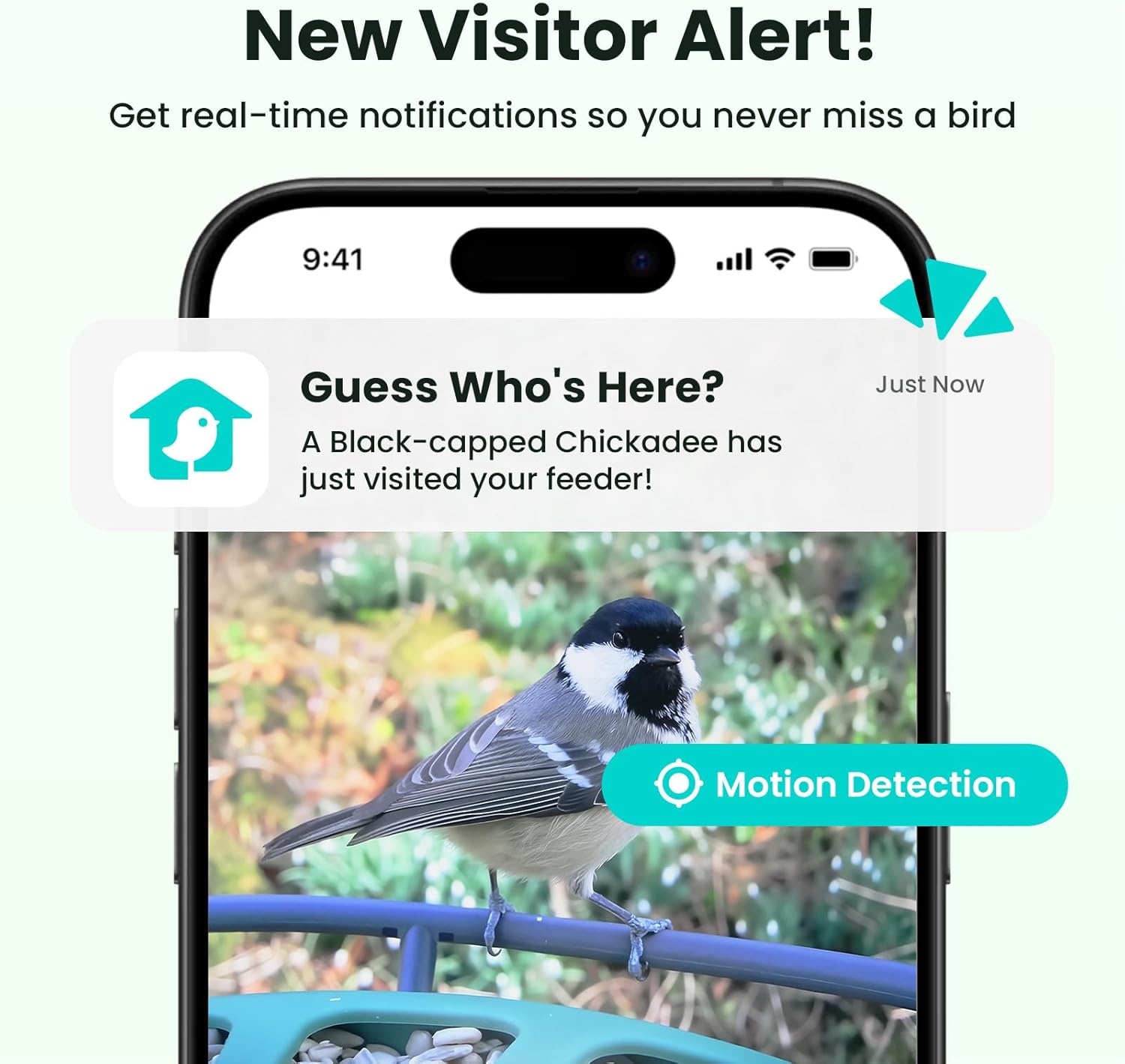 Thumbnail 6 de Birdfy Feeder 2 upgraded dual-lens bird feeder camera with auto-trace and smart capture