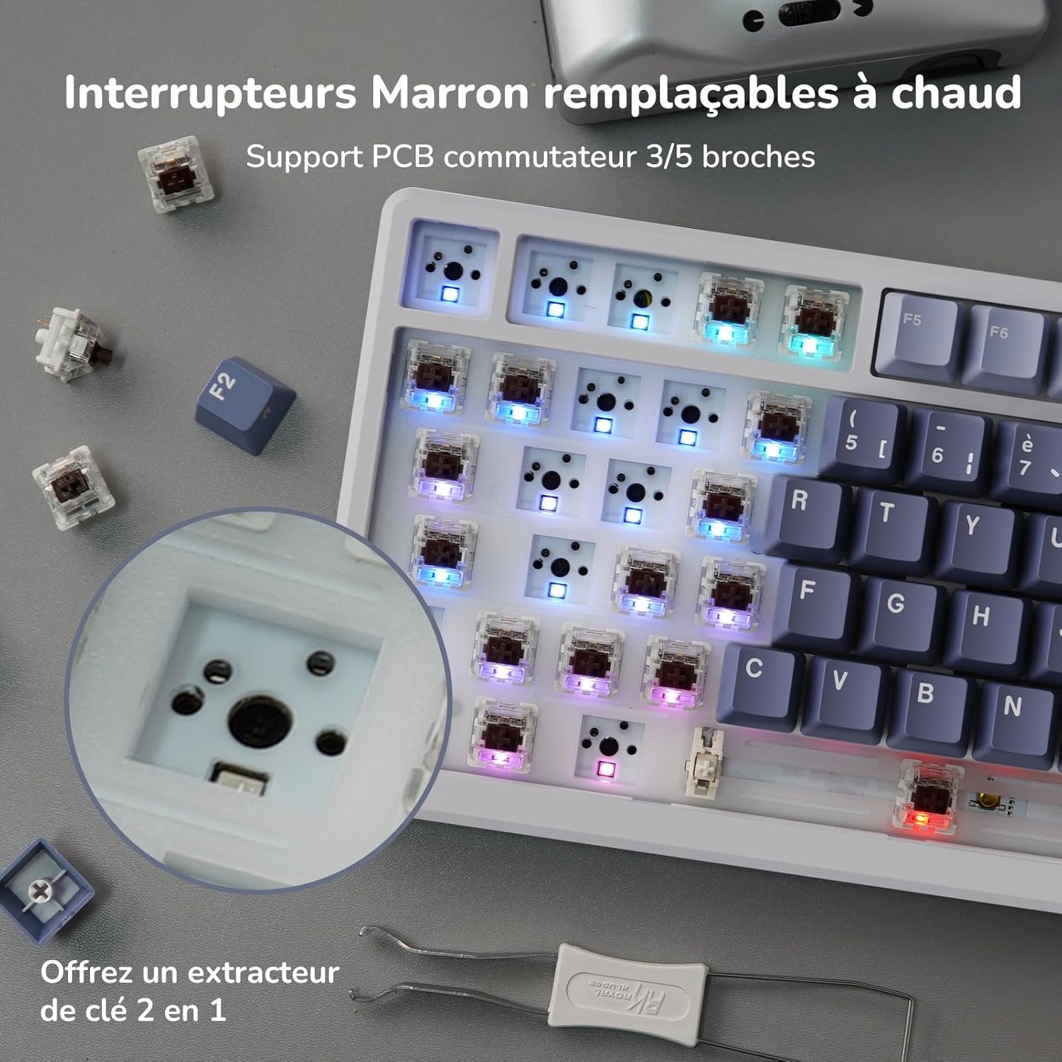 Thumbnail 5 de RK ROYAL KLUDGE M75 Clavier mécanique 75% ⌨