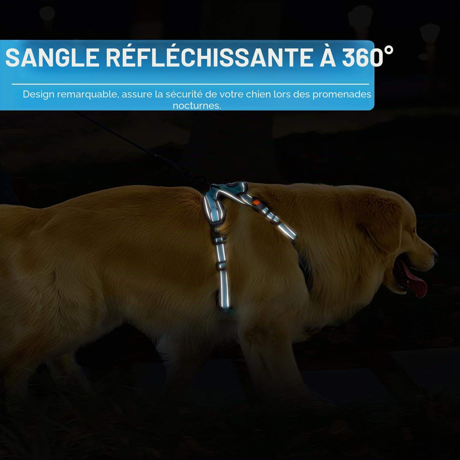 Thumbnail 6 de Harnais pour Chien anti-tirage en Oxford réfléchissant, taille ajustable, avec poignée rembourrée et 4 sangles – Gilet de harnais