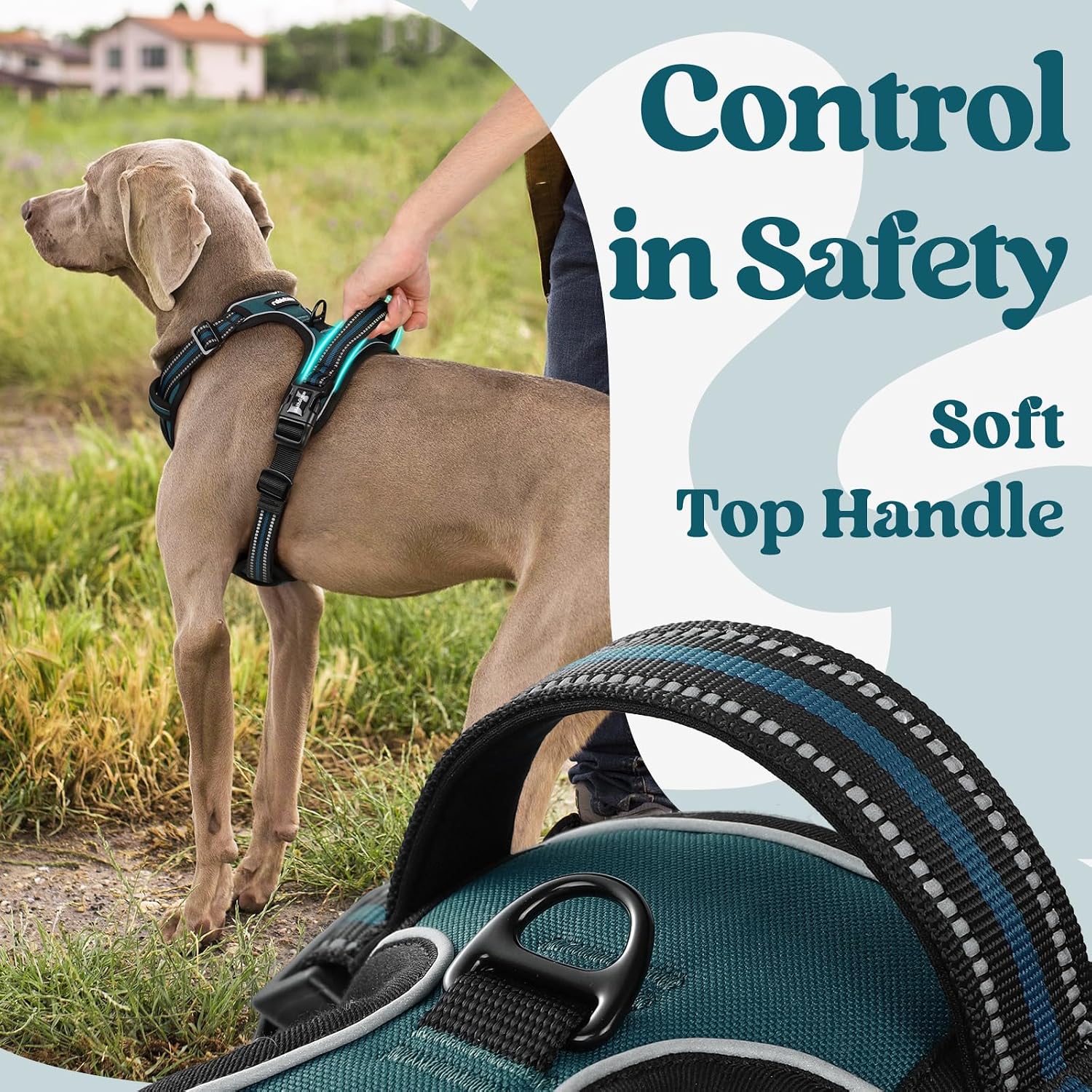 Detalle de rabbitgoo Large Dog No-Pull Harness (Dark Green) with 2 Leash Clips, Adjustable Soft Padded Vest, Reflective Handle (M)