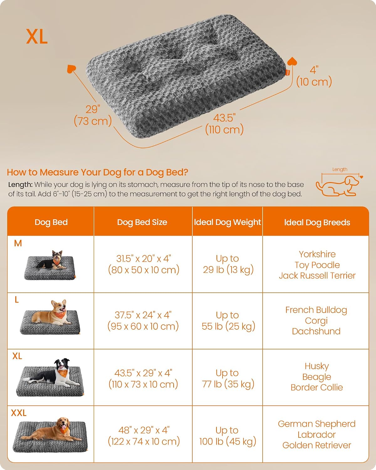 Detalle 2 de FEANDREA PGW293GN01 XL Dog Bed, 10 cm PP Padding, Washable Plush, Non-Slip Base