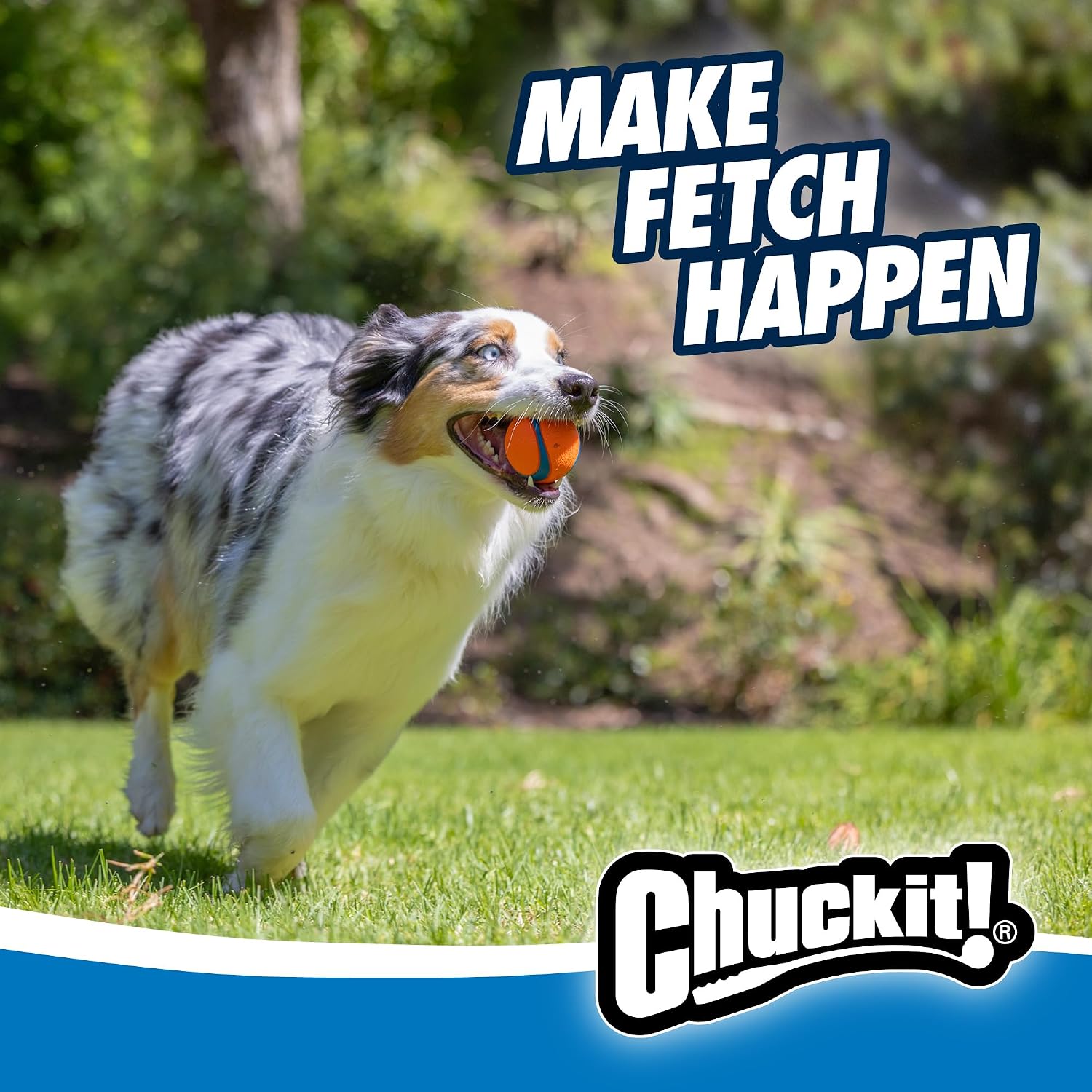 Detalle de Chuckit! Fetch Medley Gen 3 Medium Dog Balls – Durable, Lightweight Rubber Balls (Pack of 3, 6.5 cm) for Launcher Play