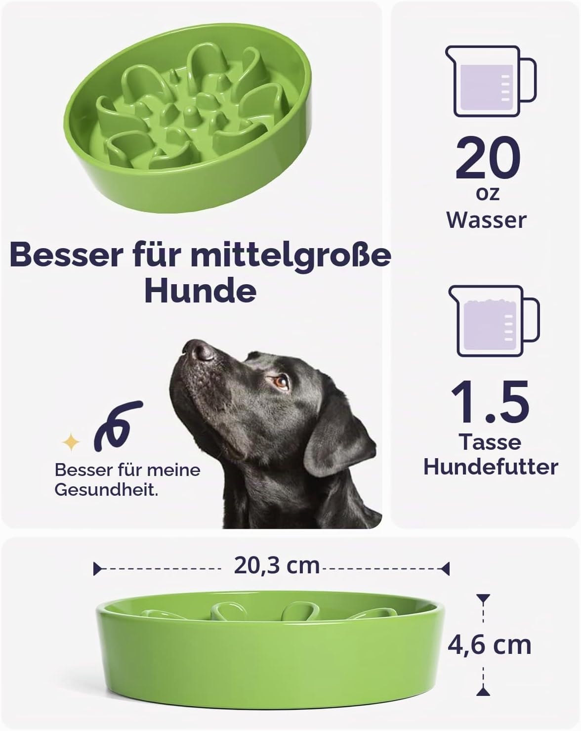 Detalle de LE TAUCI Keramik-Napf – langsames Fressen, rutschfest, für kleine bis mittlere Hunde (Grün Kleeblatt, 675 ml)