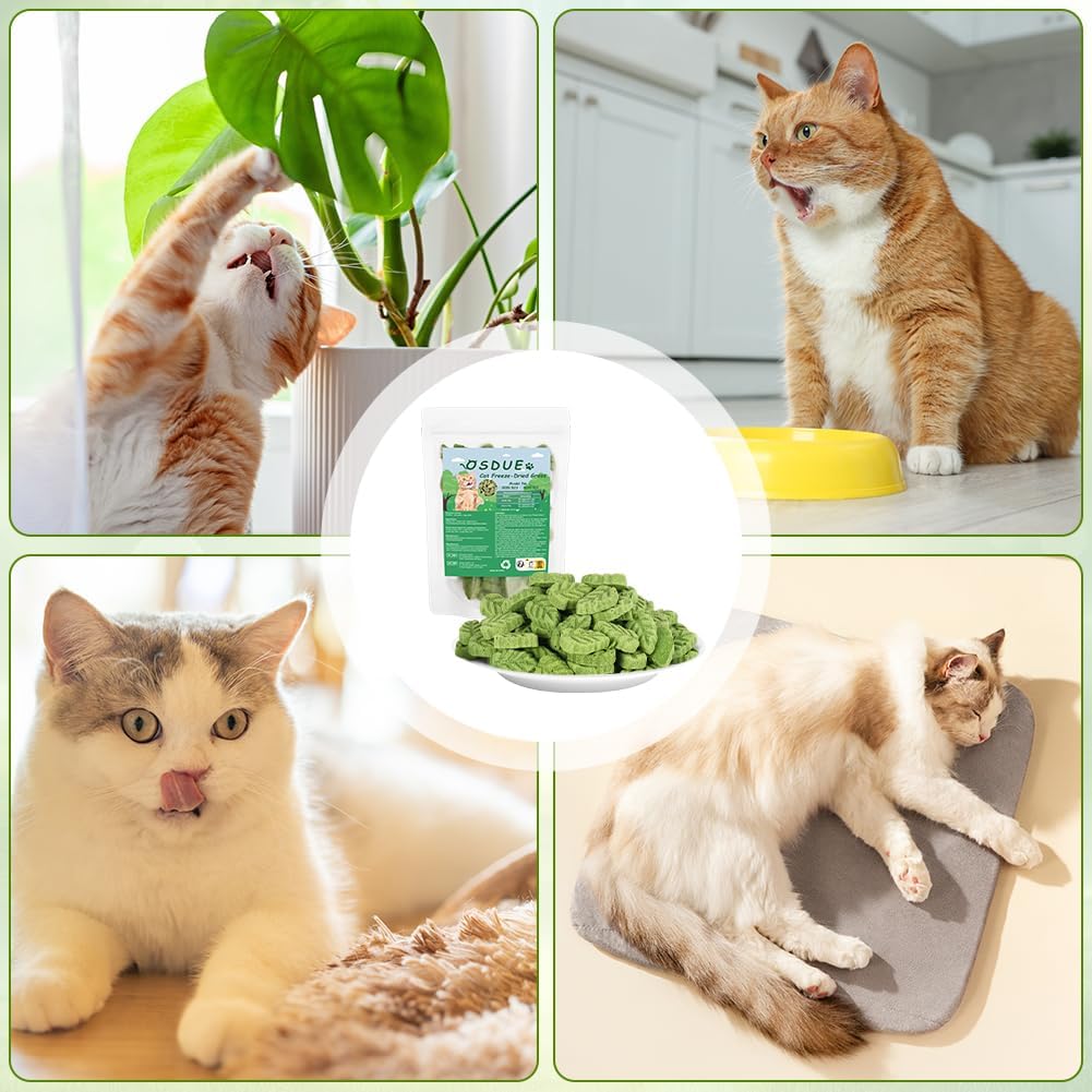 Thumbnail 6 de OSDUE Katzengras-Snack (100 g) – Katzengras-Teething-Sticks mit Gefriergetrocknung