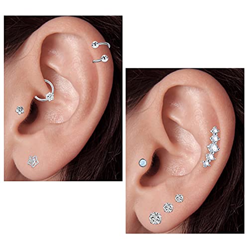 Detalle 2 de Rajnard 16er-Tragus & Helix Piercing Set – Chirurgenstahl Silber, 16G CZ Barbell & Labret Monroe
