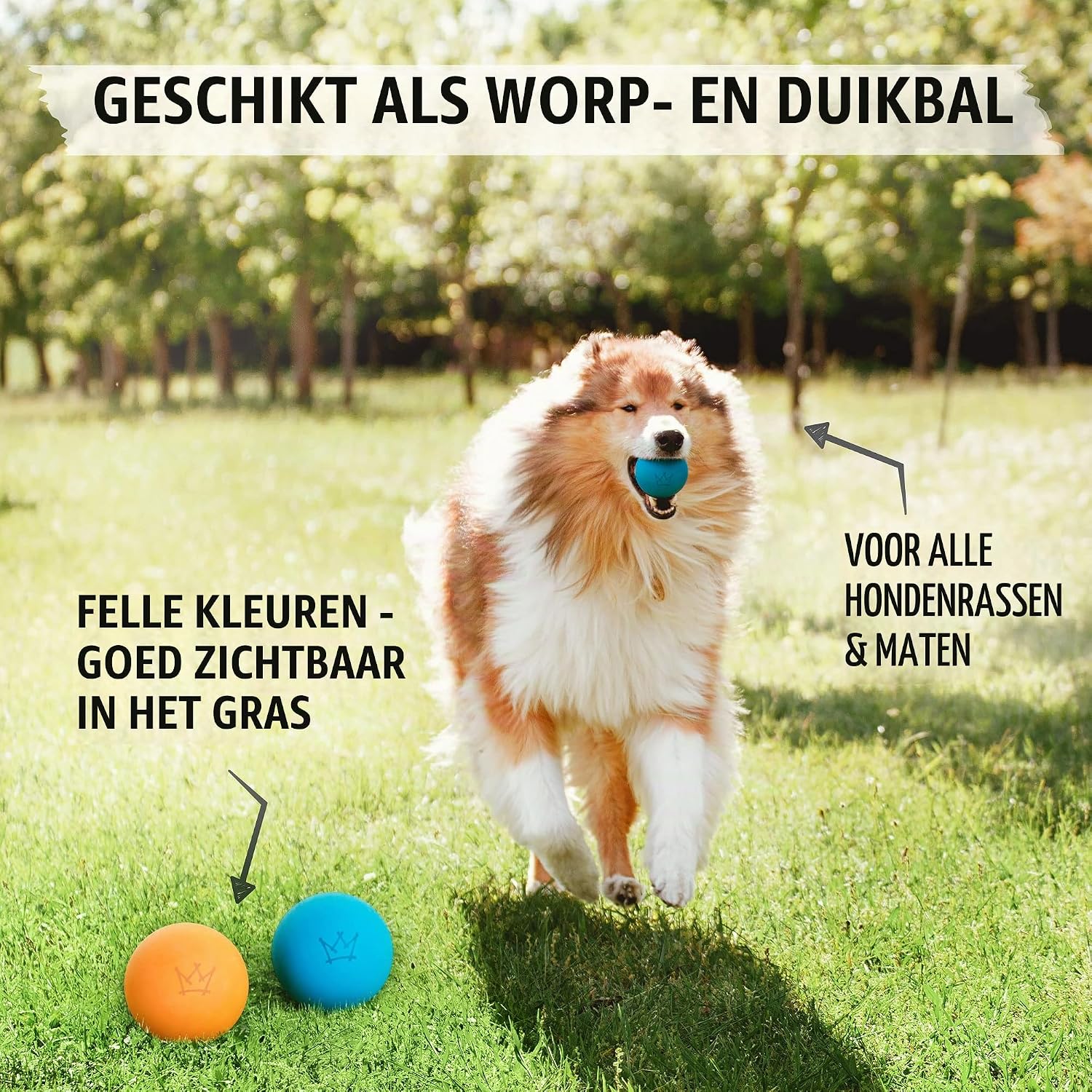 Thumbnail 5 de Rudelkönig EAA-BLOR-1-D hondenballen van natuurrubber, drijvend, 2 stuks