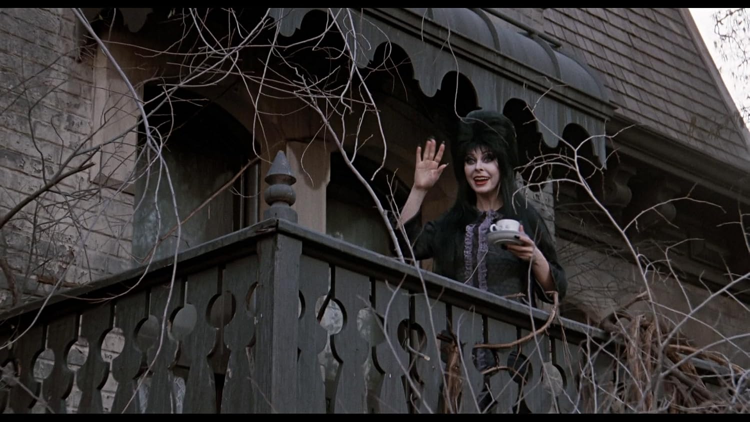 Thumbnail 5 de Horror Classic Movies Elvira 1&2 Horror-Komödien 🎬