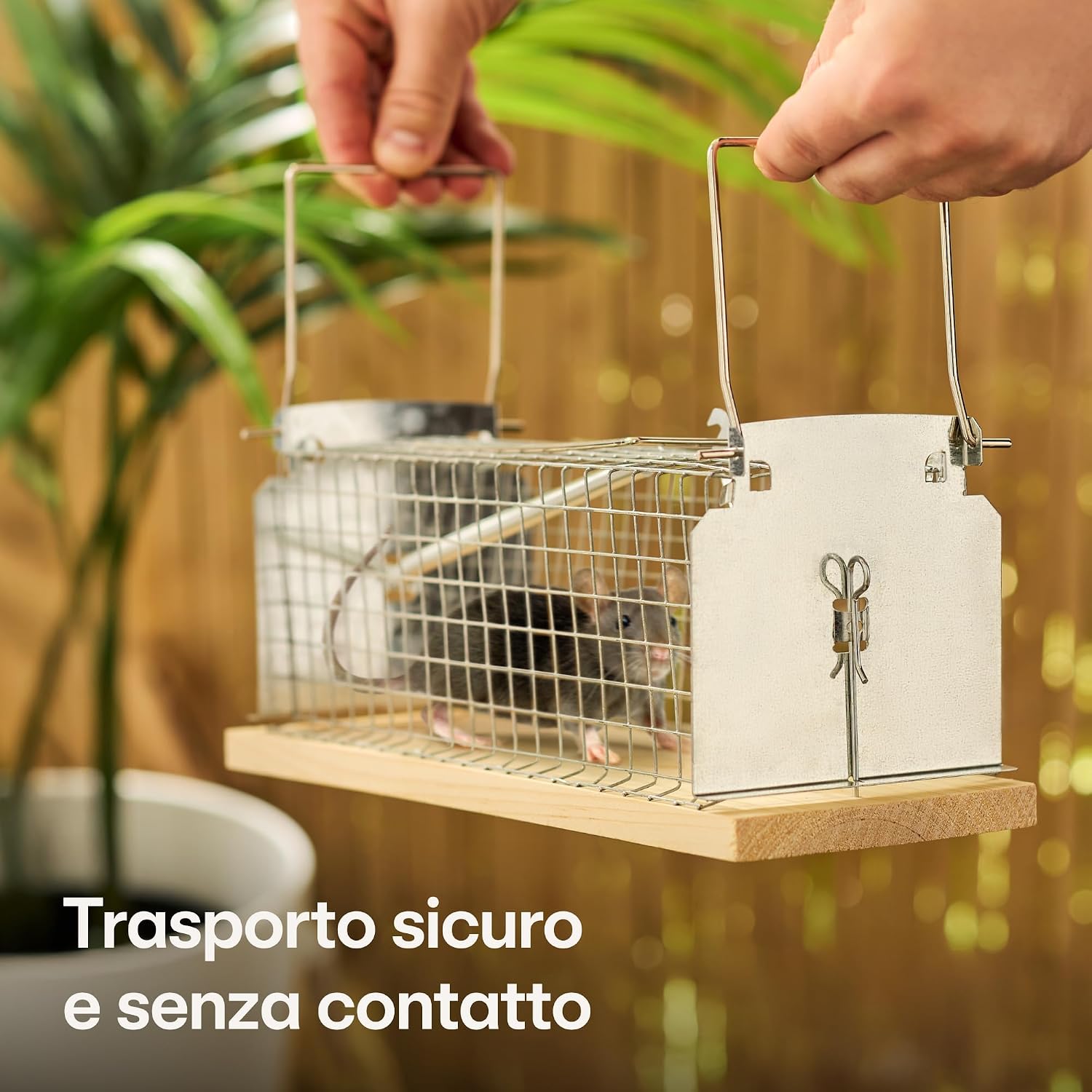 Detalle de Praknu Trappola viva per topi 30 cm