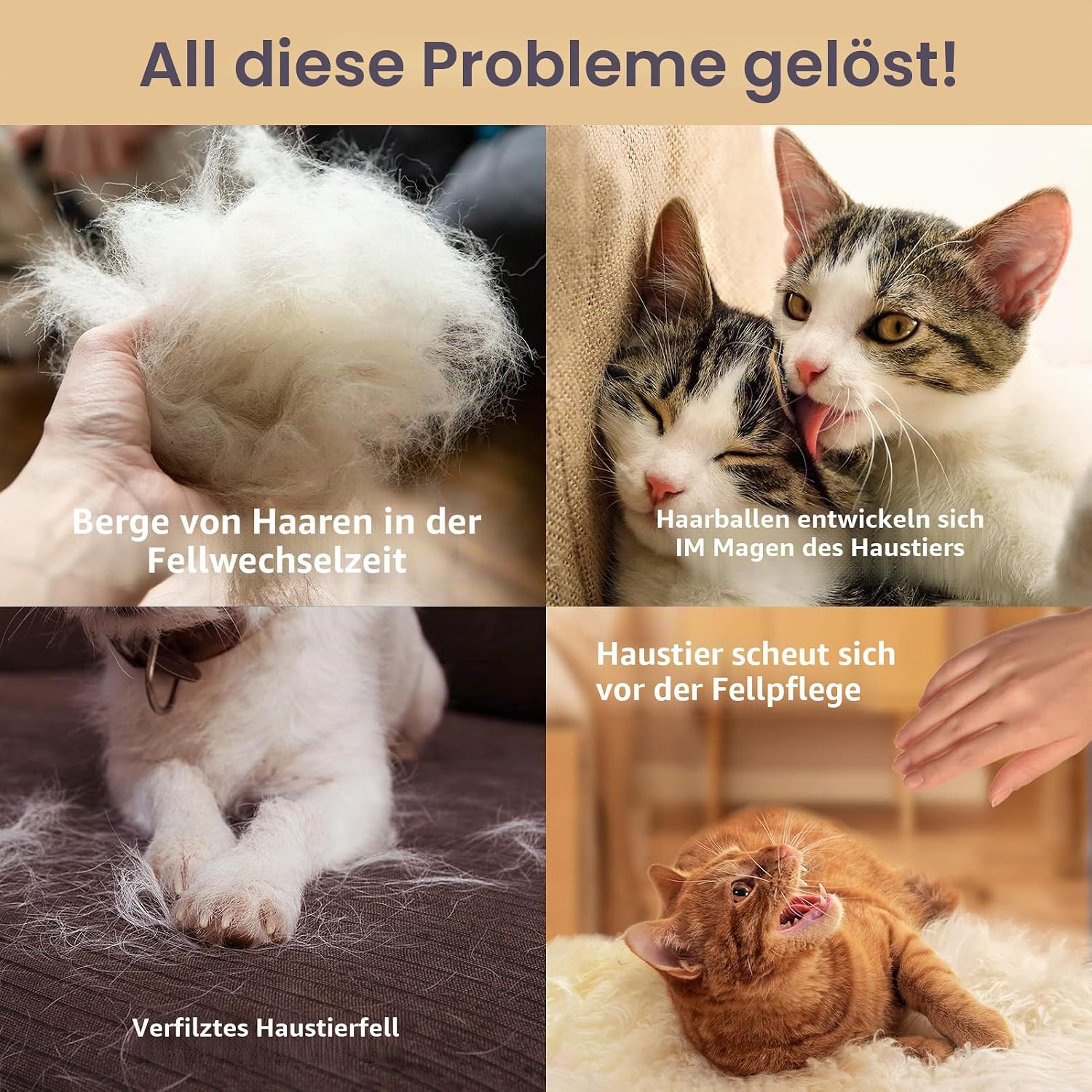 Thumbnail 6 de Haustierpflege-Handschuhe Katzenbürsten sanftes Haaren 1 Paar