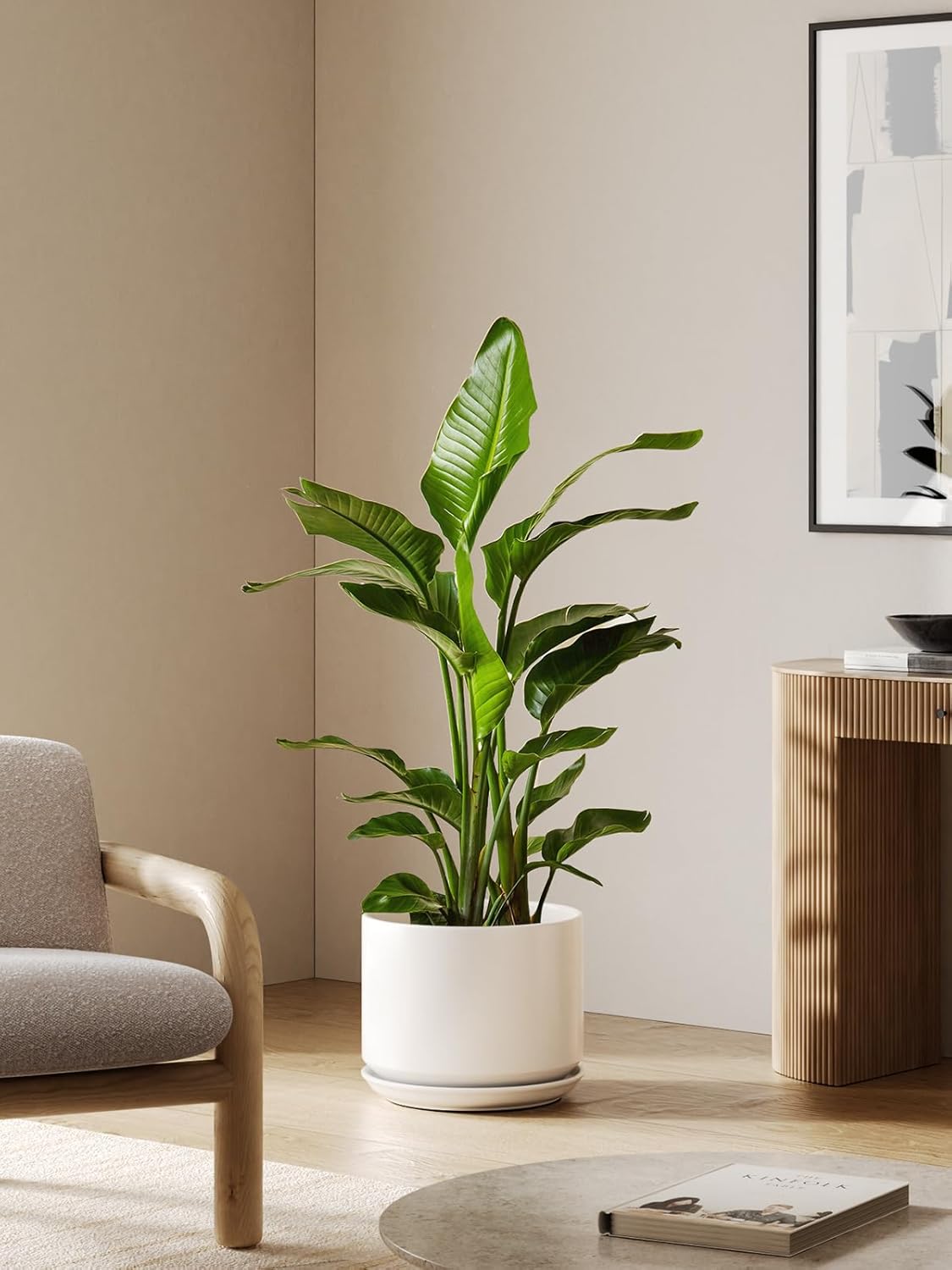 Thumbnail 1 de LE TAUCI 30 cm Plant Pot — Large White Ceramic Planter with Drainage for Indoors