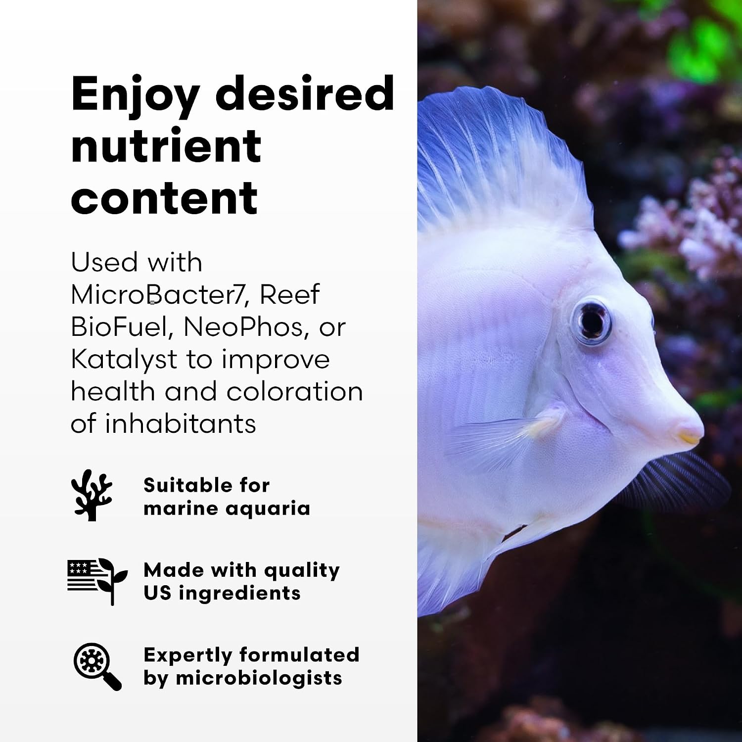 Thumbnail 2 de Brightwell Aquatics NeoNitro 窒素サプリメント、低栄養塩の海水リーフ水槽向け液体タイプ