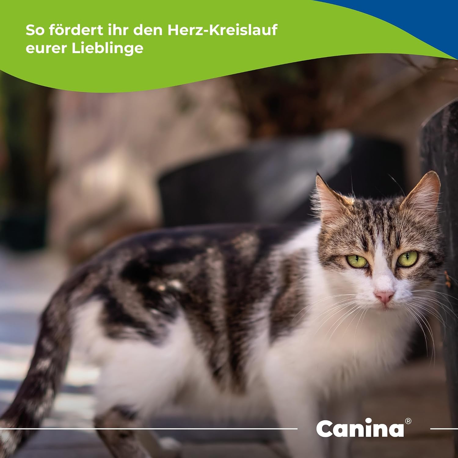 Detalle 2 de Canina Herz‑Vital 250 ml Herztonikum 🐾