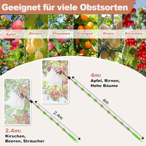 Detalle de LLUKEME Obstpflücker mit Teleskopstiel 4 m – sicher vom Boden ernten