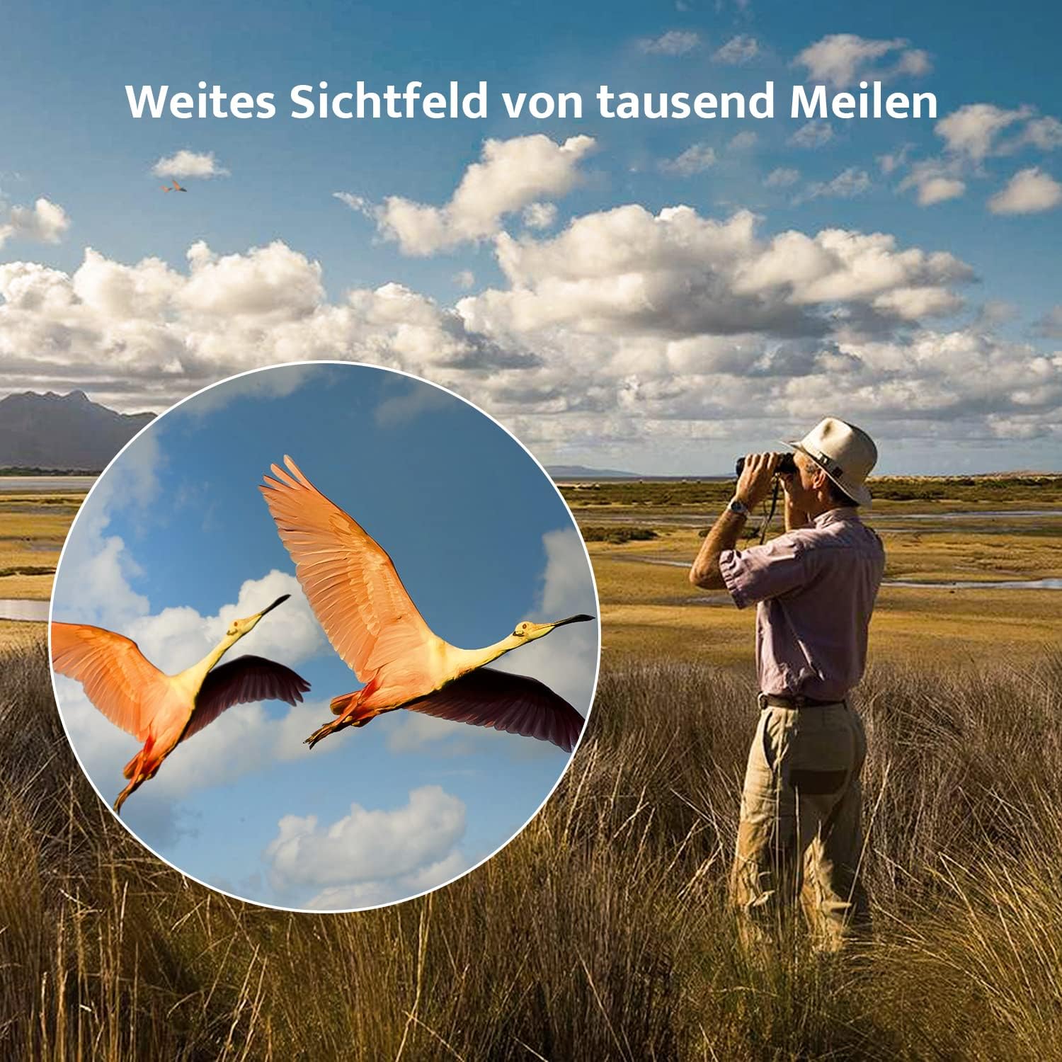 Thumbnail 4 de Usogood Fernglas 10x42 HD Vogelbeobachtung
