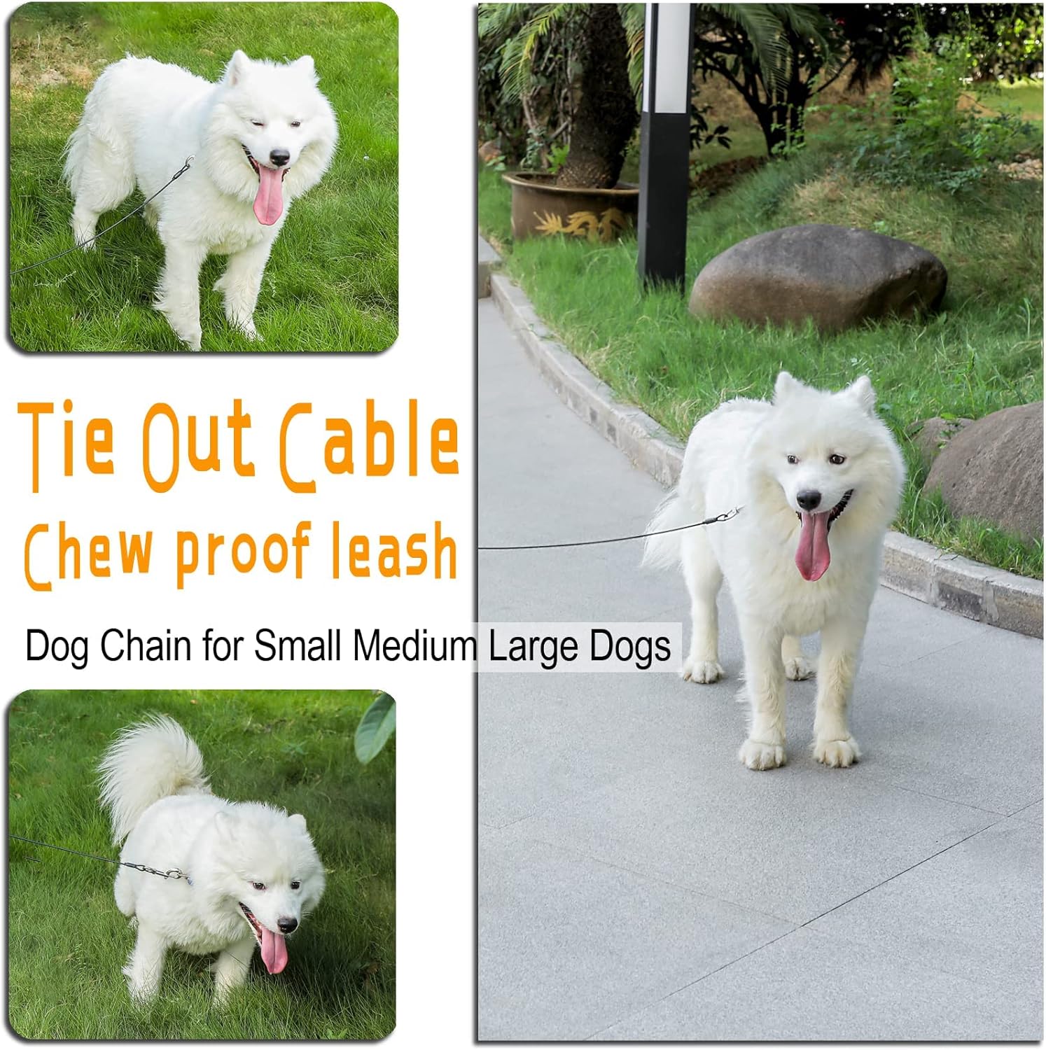 Thumbnail 6 de Mi Metty Dog Tie Out Cable 20ft for training
