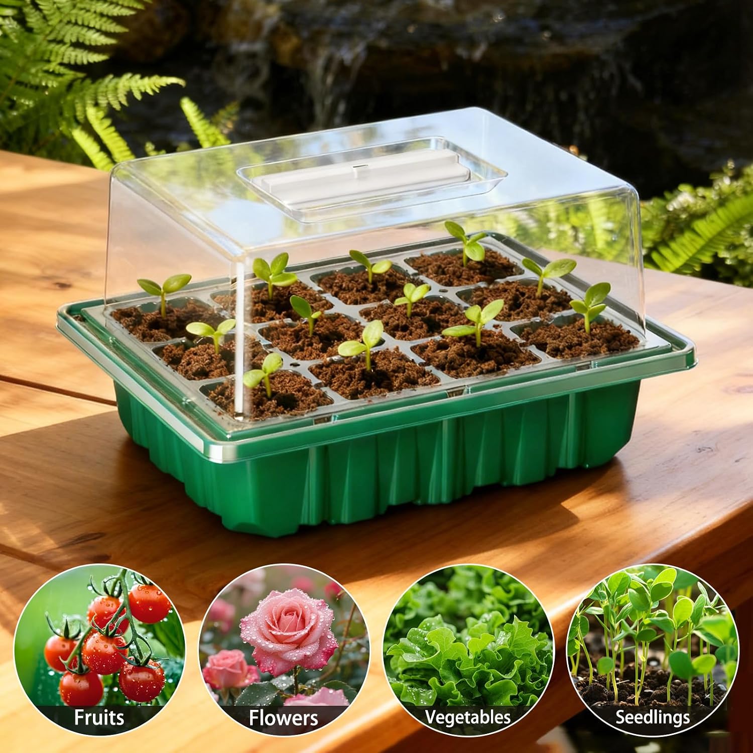 Detalle de 2026 Seed Starter Tray Kit, 36 Cells, Grow Lights, Heat Mat and Humidity Domes