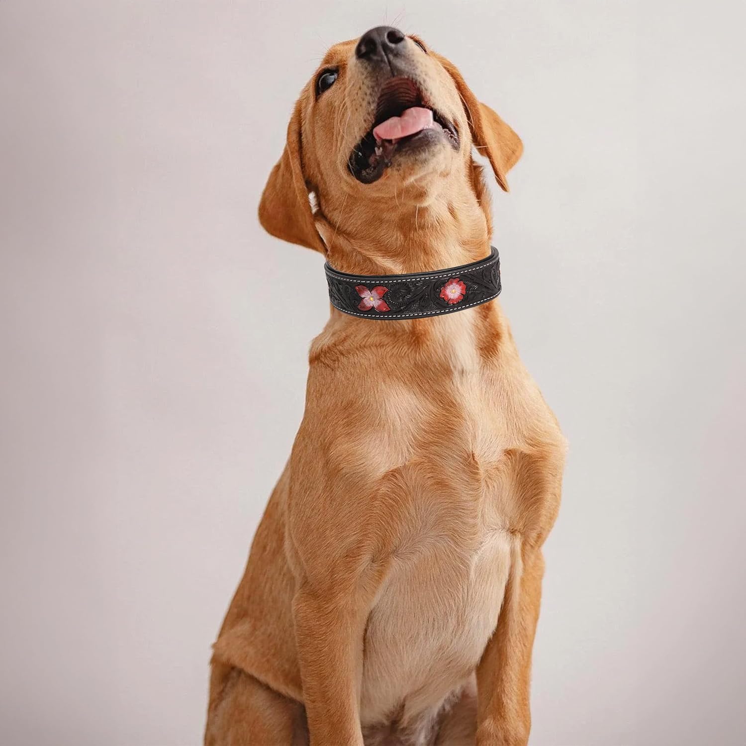 Detalle de TARICO Dog Collar Small