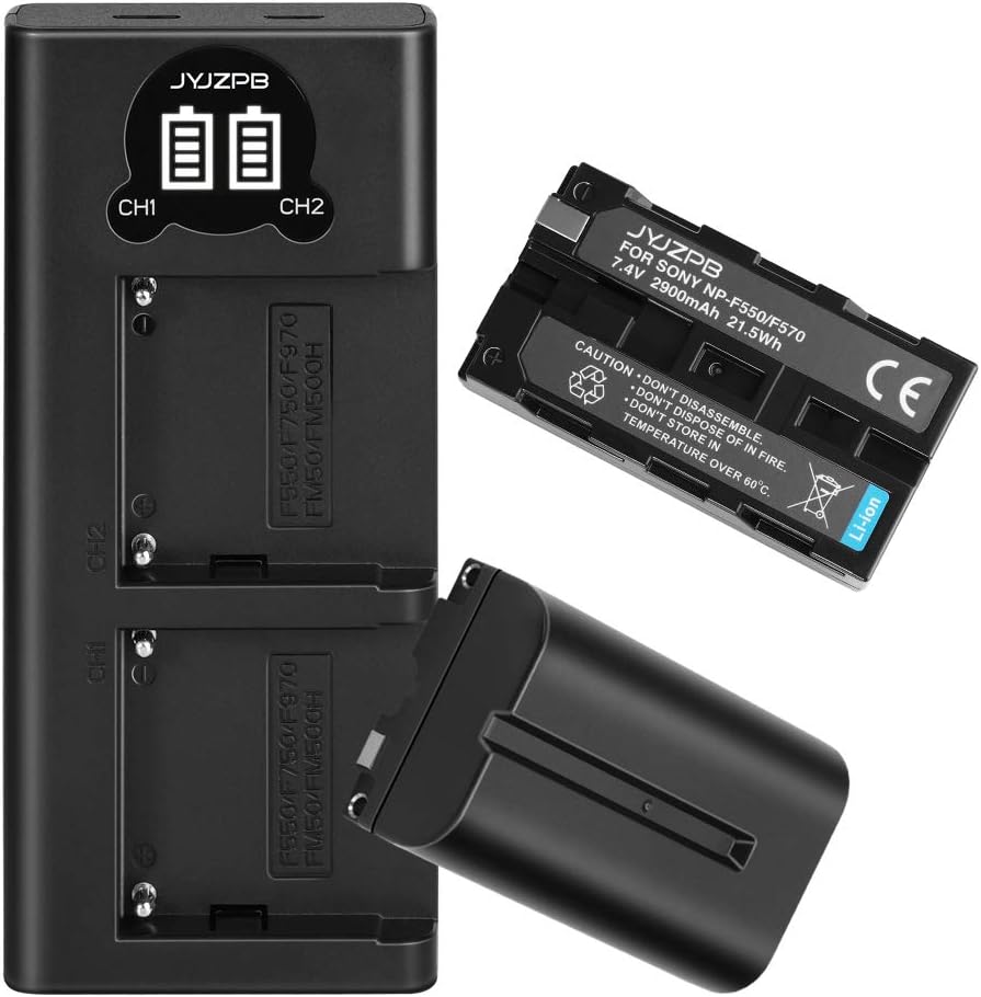 Detalle de JYJZPB NP-F550 Battery 2900mAh 2-Pack