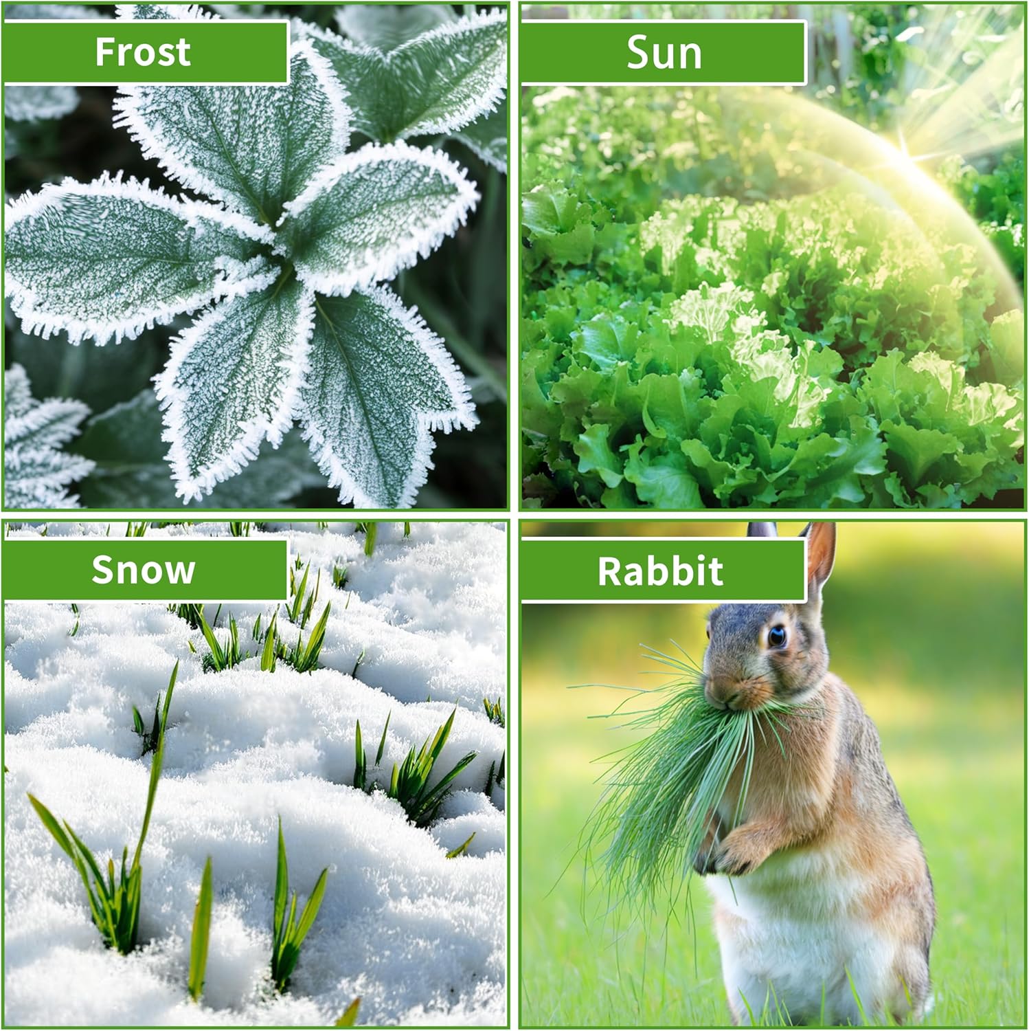 Thumbnail 5 de SORANGEUN 10x30ft Frost Cloth garden cover
