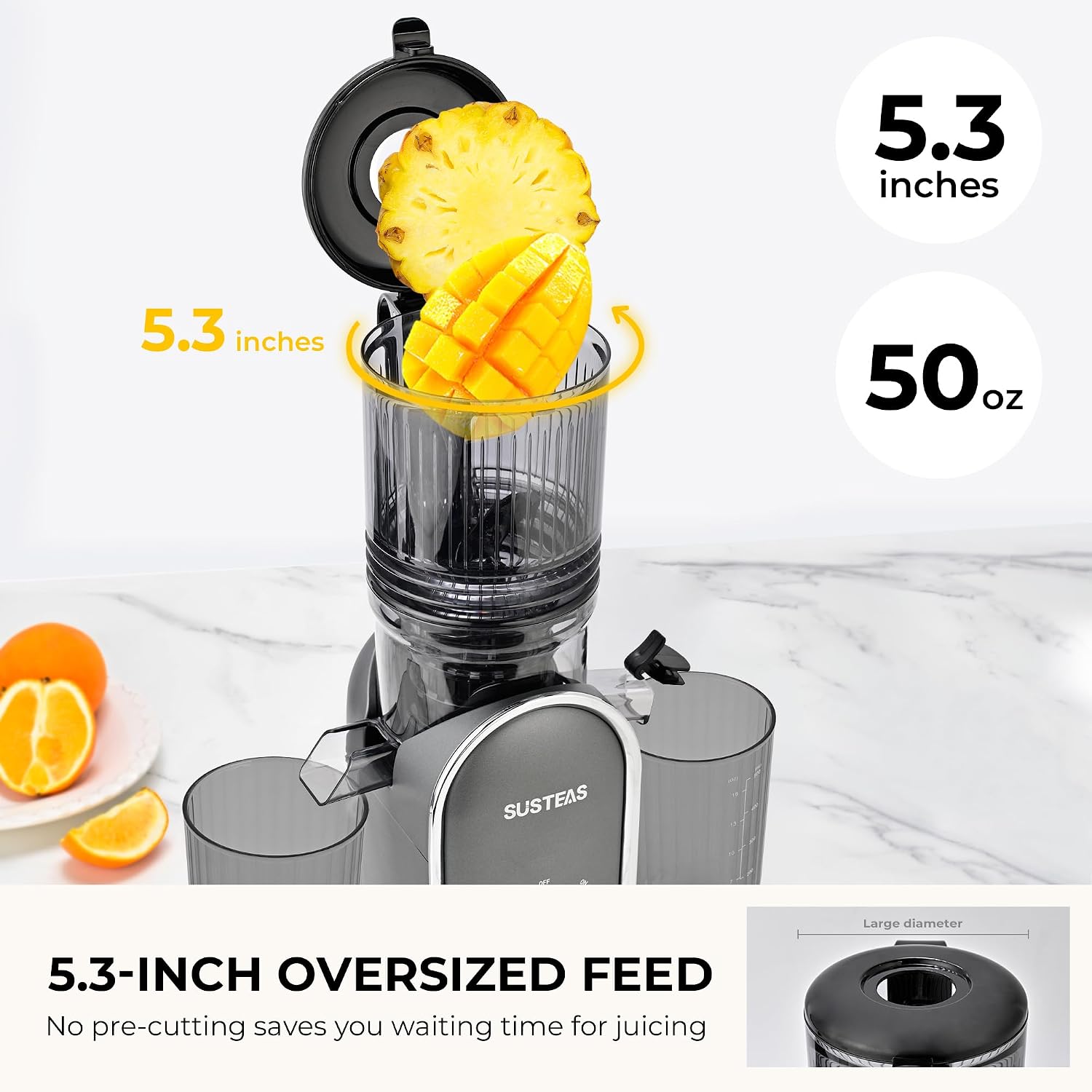 Thumbnail 4 de SUSTEAS 5.3" Cold Press Juicer ⚙