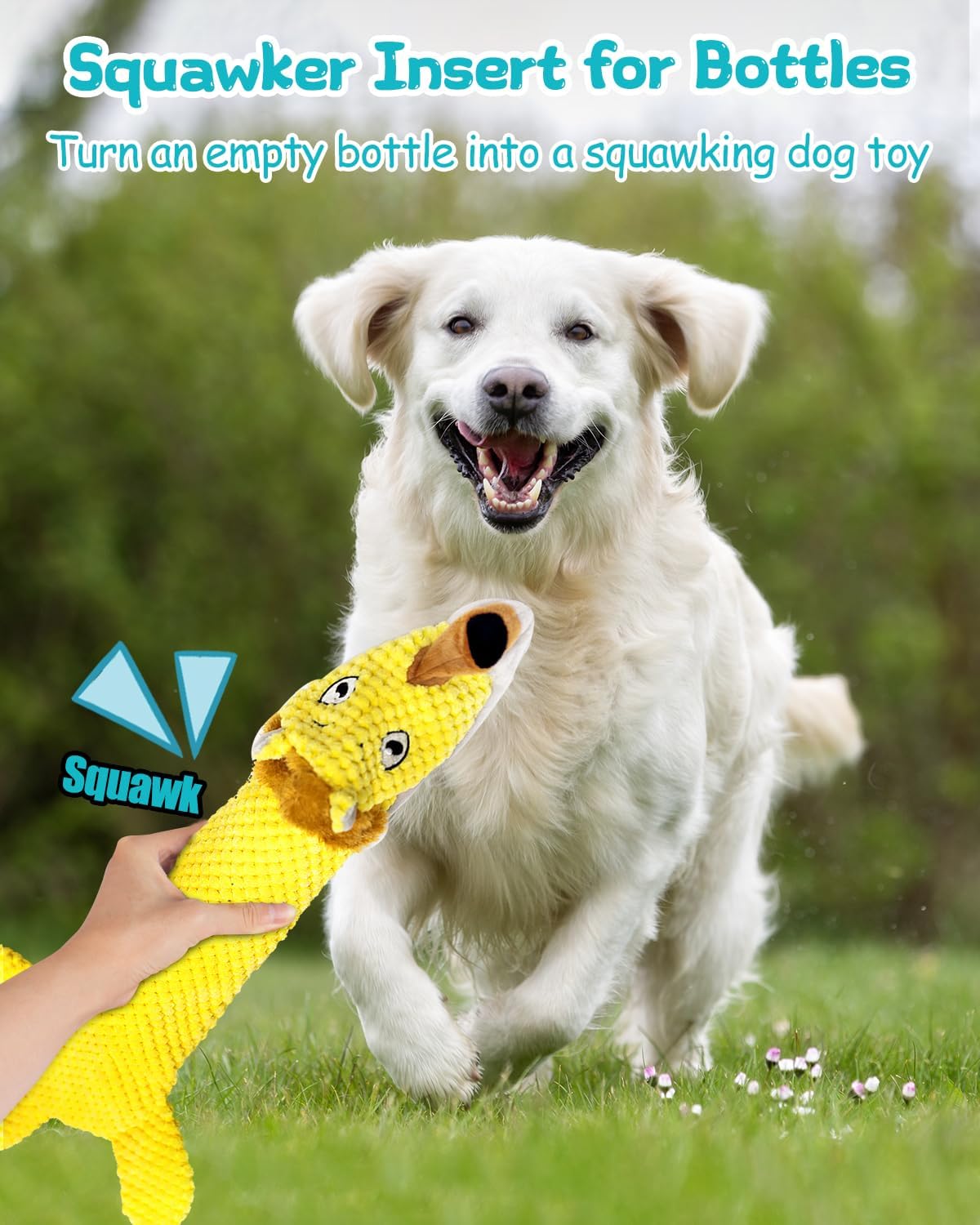 Detalle 2 de TONGKTAI Squeaky No Stuffing Dog Toys 3 Pack