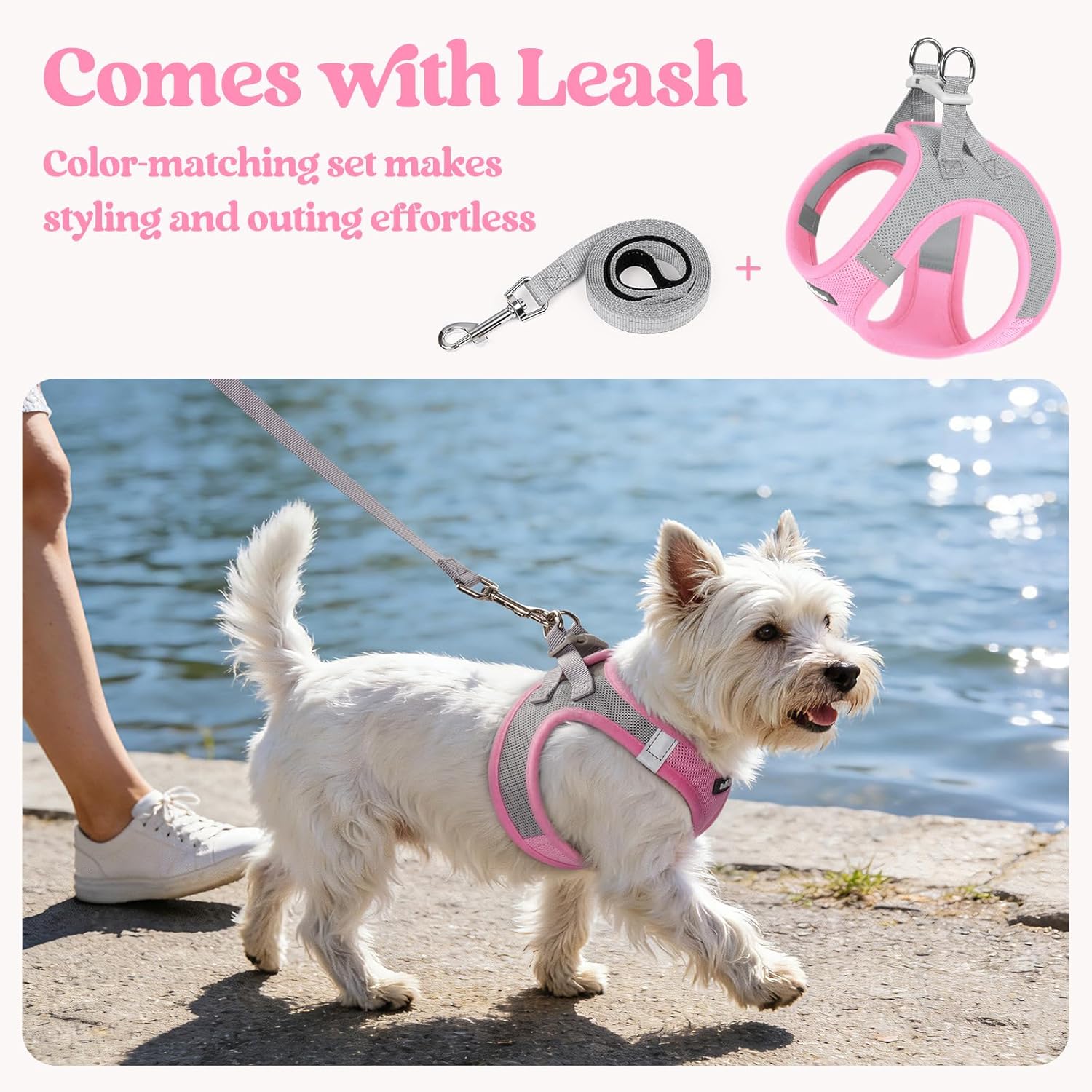 Thumbnail 4 de rabbitgoo Dog Harness & Leash Set (Small Dogs, M) – Step-in soft mesh with reflective strips in Pink & Gray