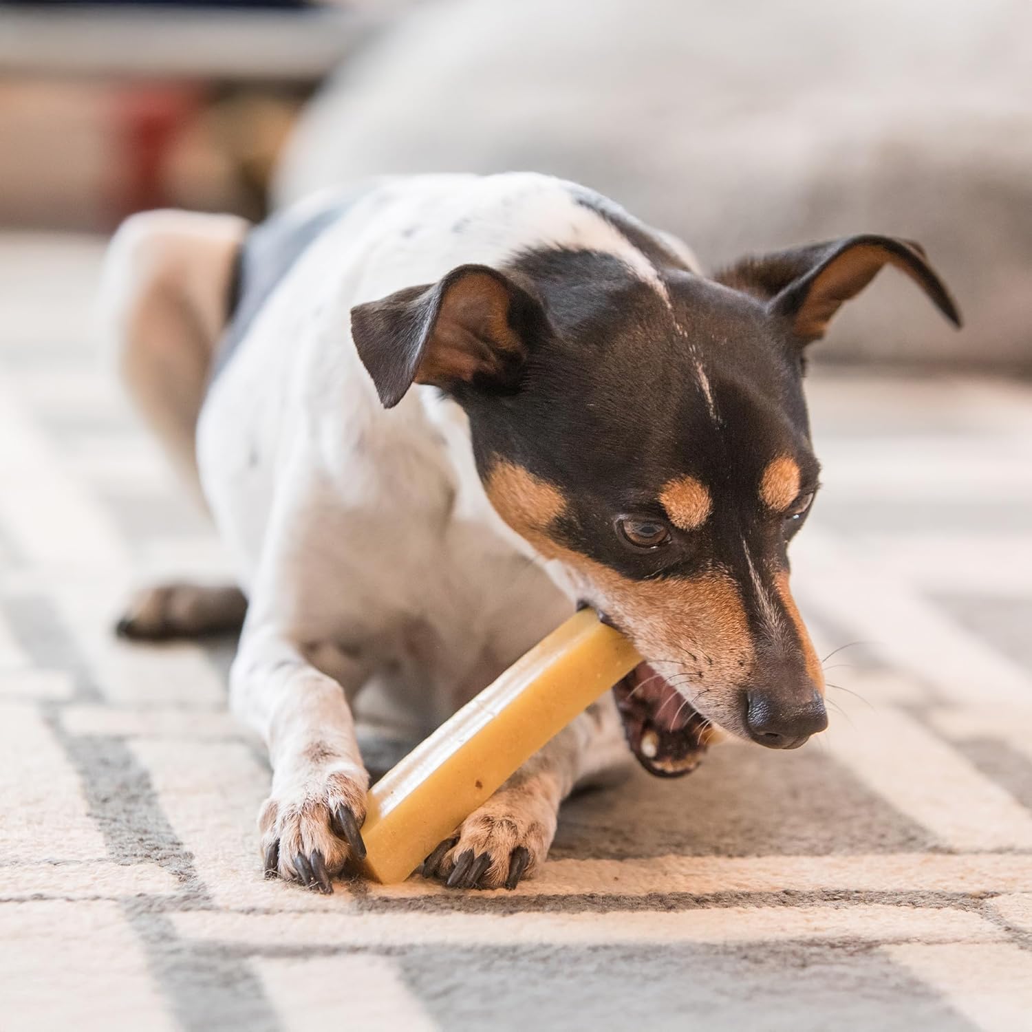Thumbnail 5 de Yak cheese dog chews, large