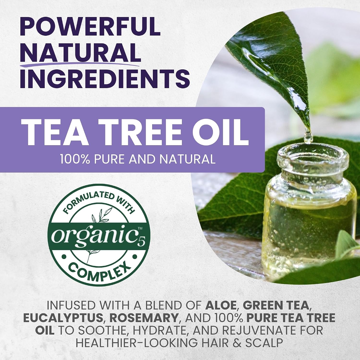 Thumbnail 5 de Tea Tree Purple Shampoo Set