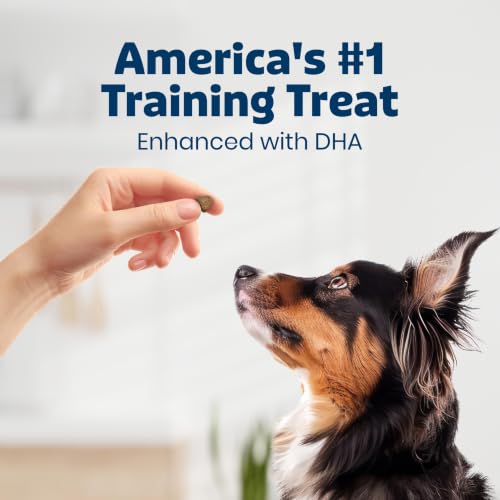 Thumbnail 1 de Blue Buffalo Bits Beef Training Treats, 19 oz