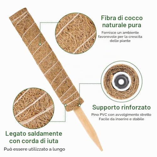 Detalle de Vicloon Bastone per Piante con Bastoni Rampicanti in Fibra di Cocco, Set da 4 pezzi 40 cm