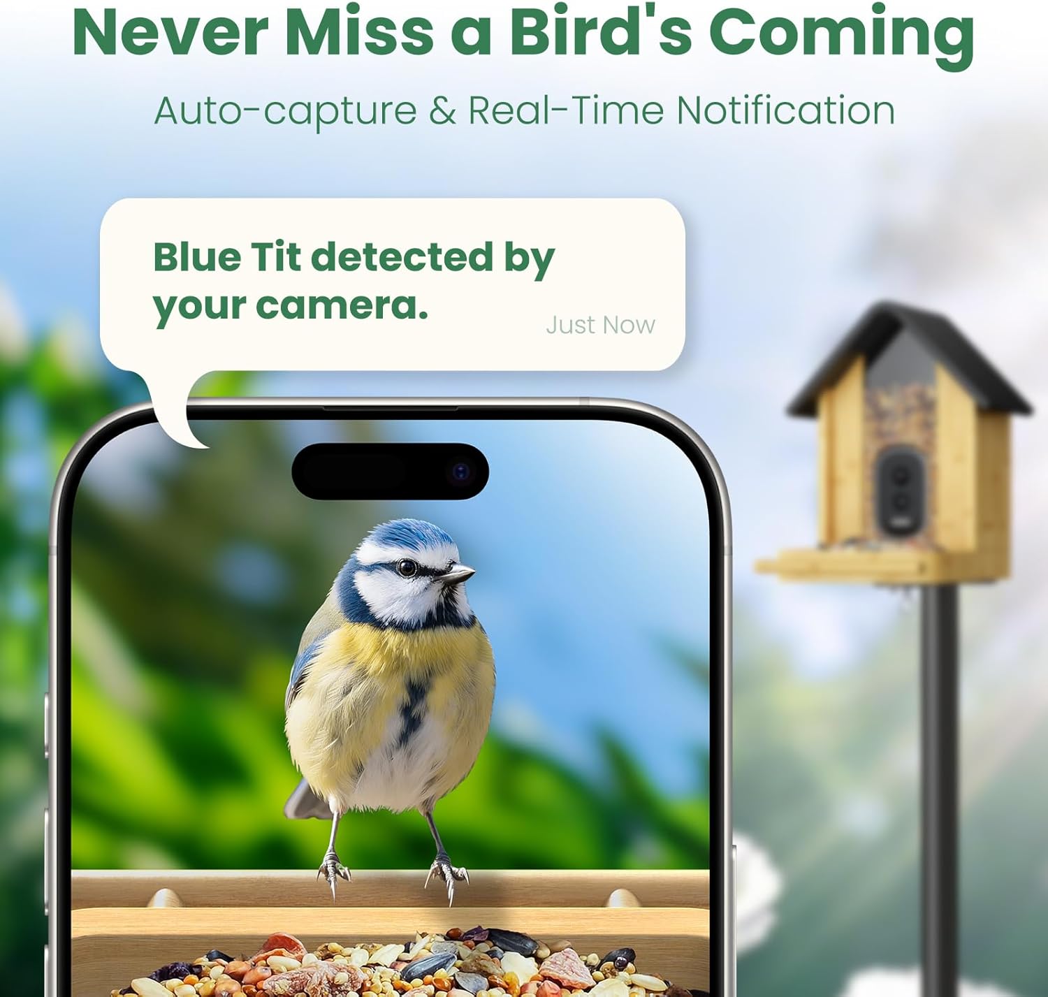 Thumbnail 4 de WLNYUGS Bird Feeder with Camera – Smart Bamboo 2.5K UHD AI Identification