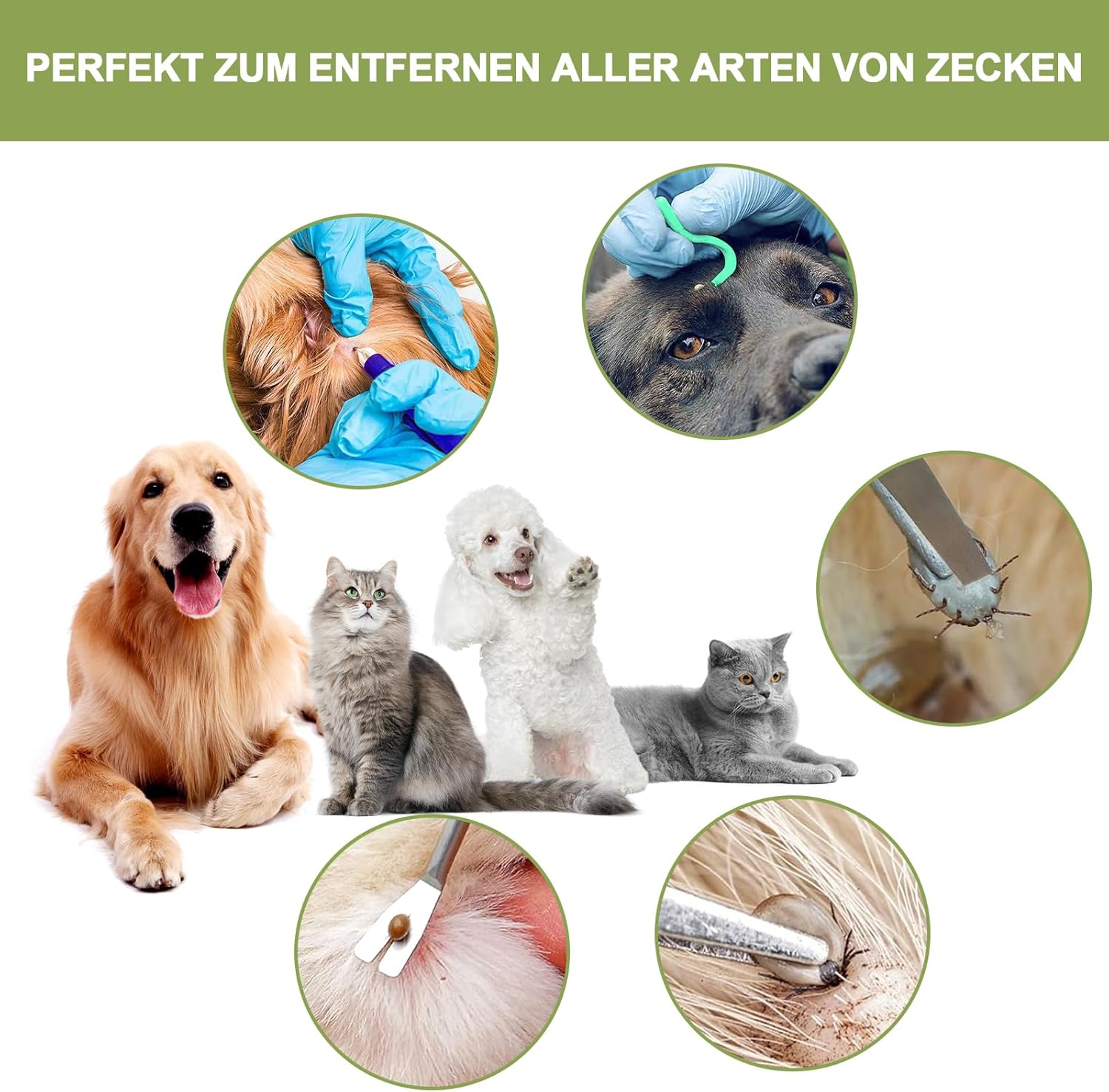 Detalle 2 de Nepfaivy Zeckenzange 5er Set für Hunde