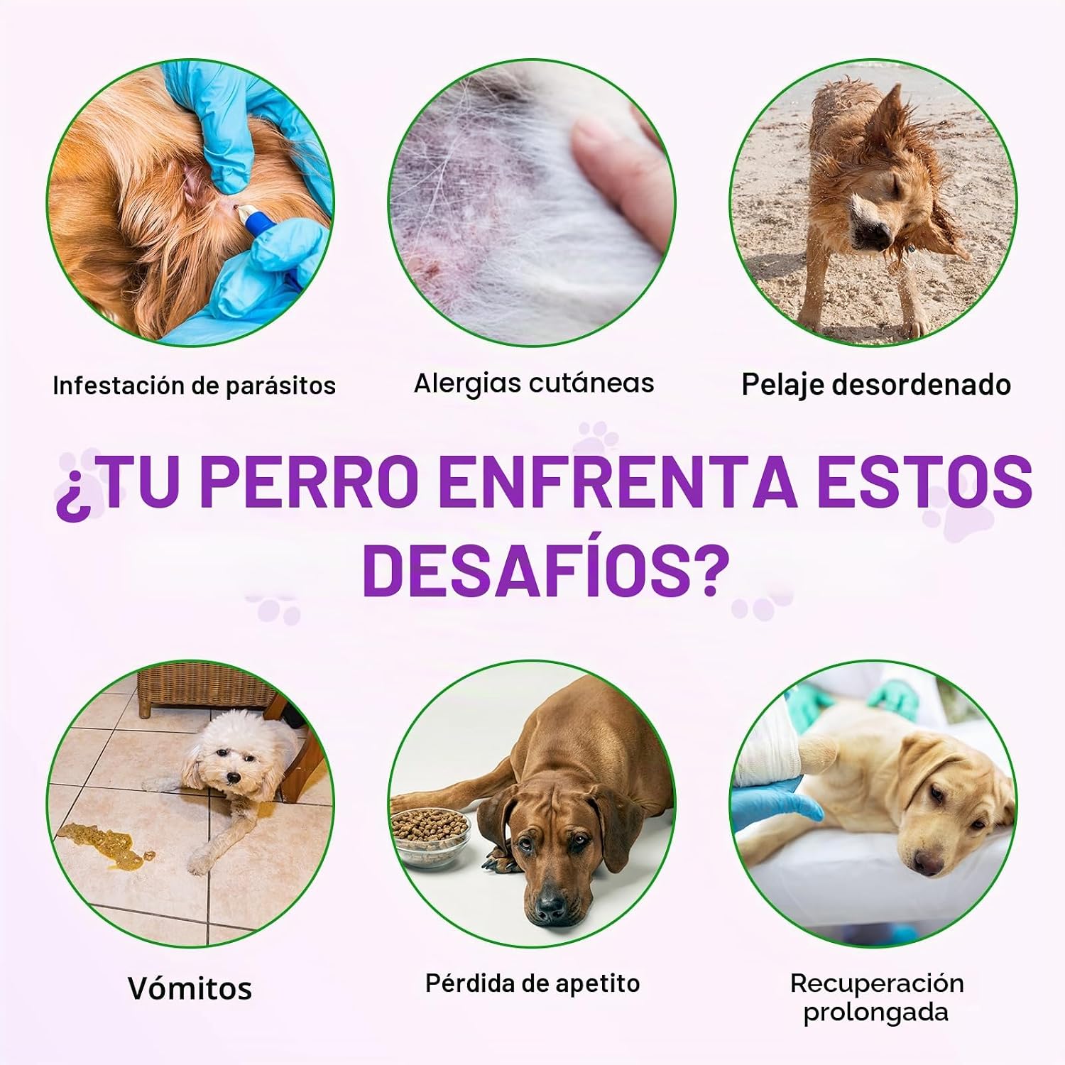 Detalle de Dog Allergy Relief Treats 150 unidades