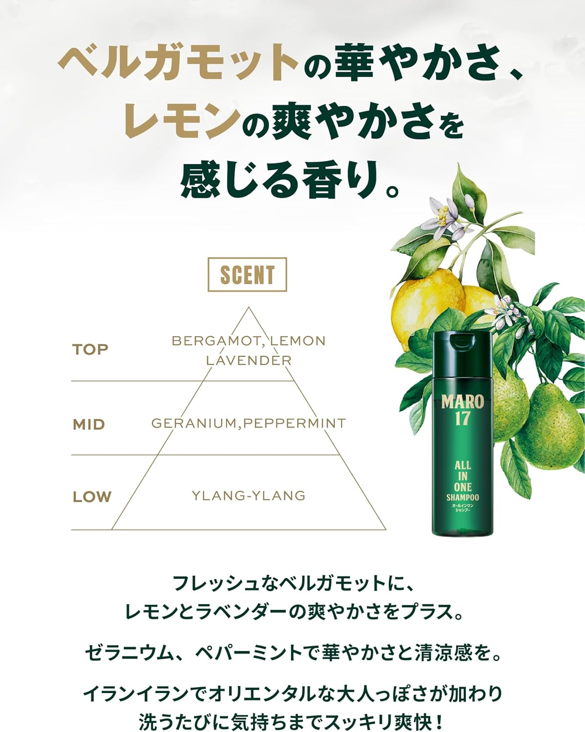 Detalle de MARO17(マーロ17)オールインワンシャンプー 190ml ベルガモット&レモンの香り