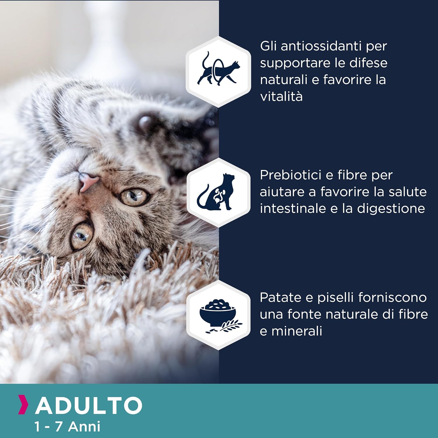 Detalle de EUKANUBA Grain Free cibo secco per gatti adulti al salmone – 10 kg
