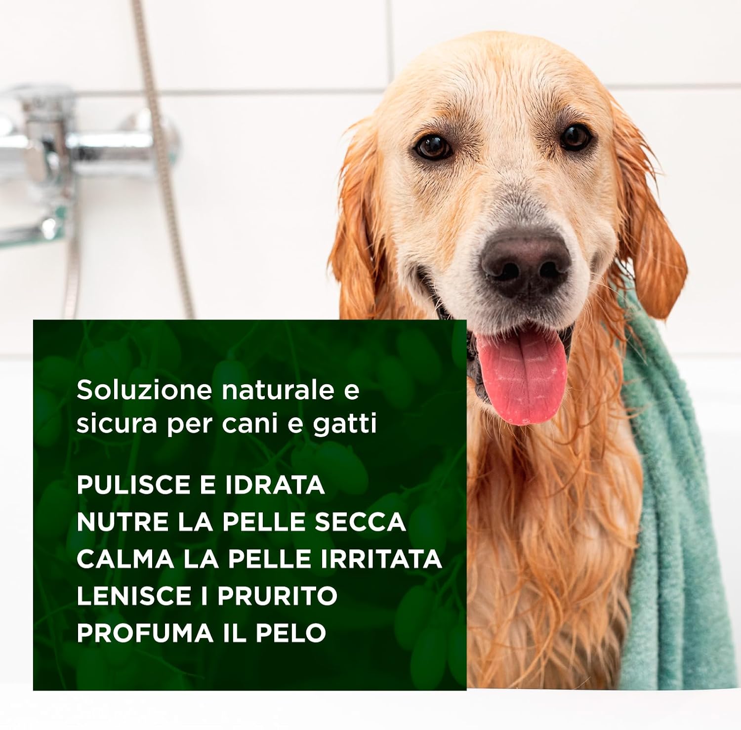 Thumbnail 3 de Bio Pet Shampoo Protettivo all’Olio di Neem con Aloe e Tiglio per Cani e Gatti, flacone 250 ml