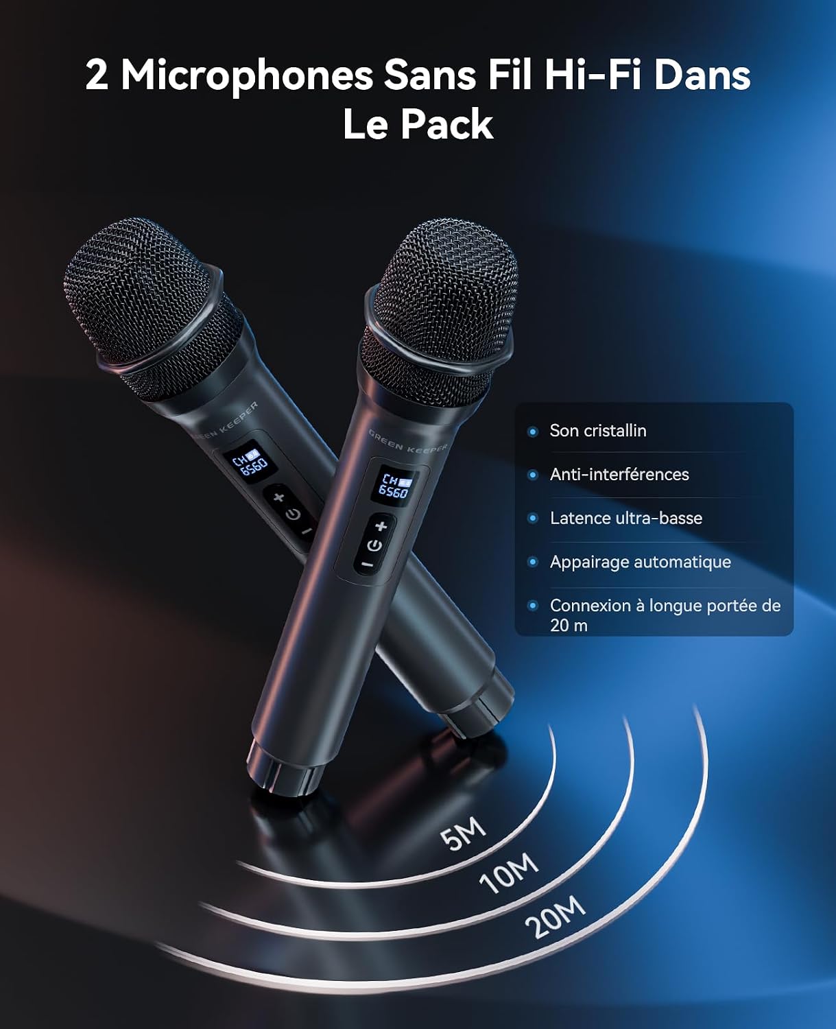 Detalle 2 de Enceinte Karaoke 400W avec 2 micros 🎤