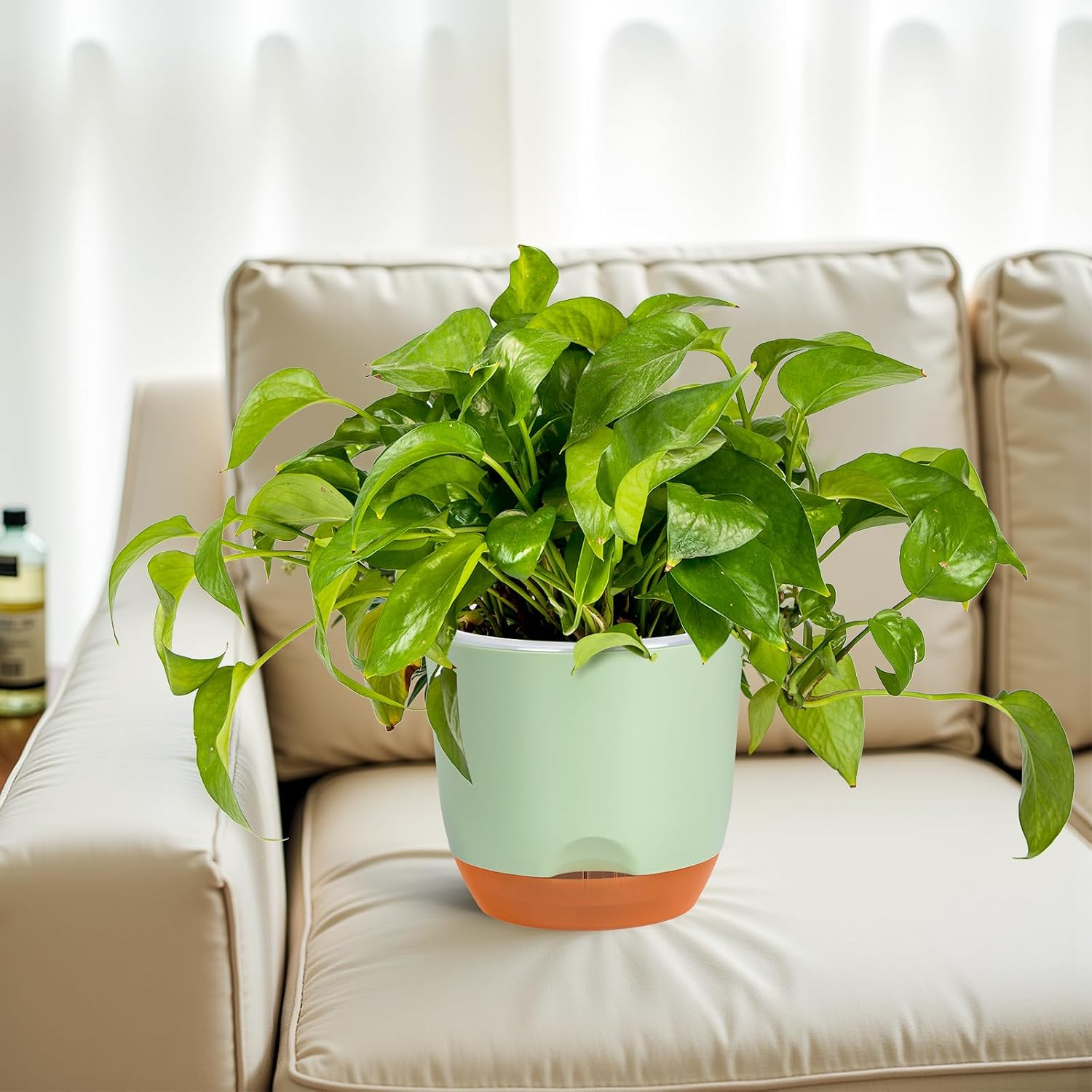 Thumbnail 6 de QCQHDU 2Pack 7.2In Large Self-Watering Orchid Pots with Detachable Reservoir