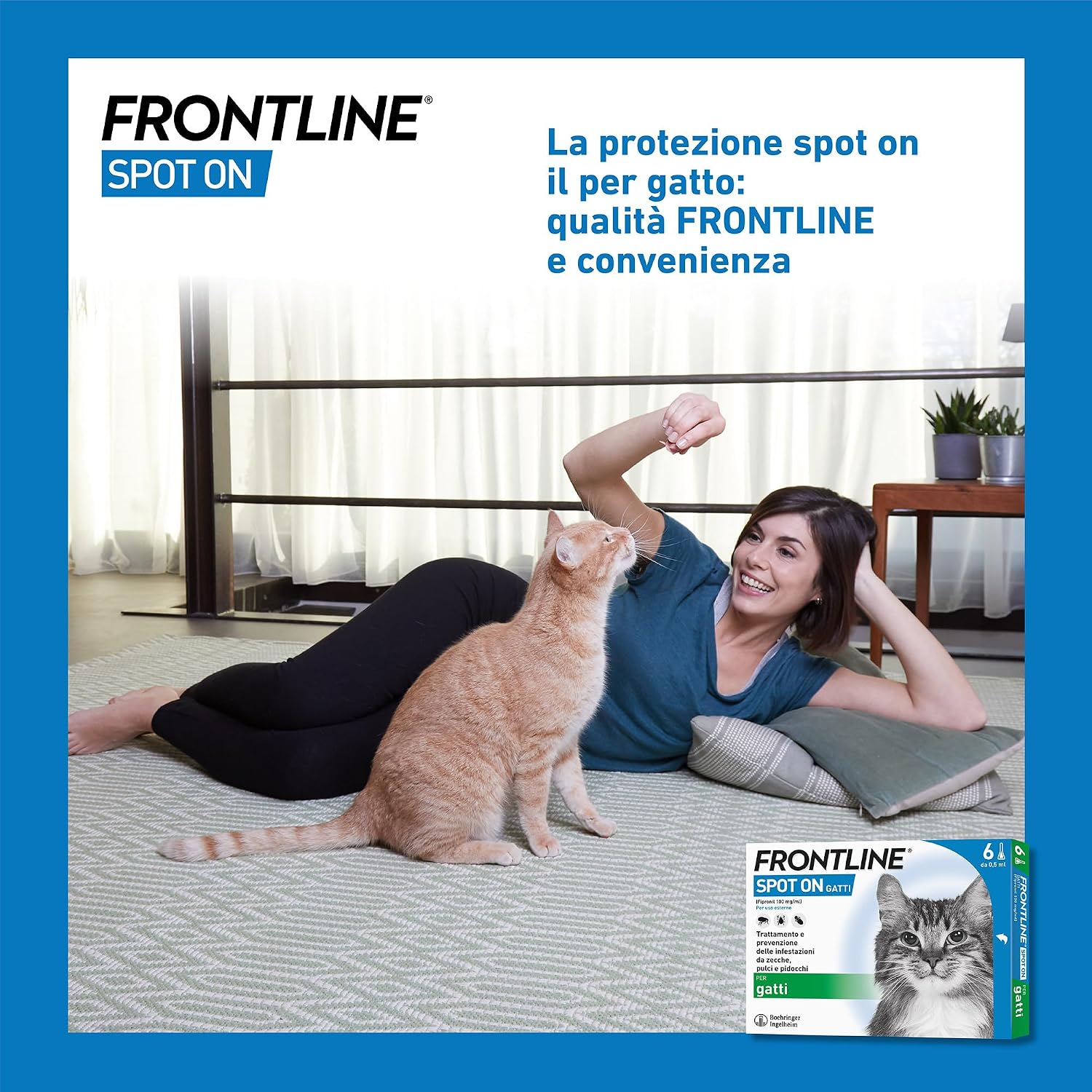 Thumbnail 6 de FRONTLINE Spot On Gatti 6 Pipette da 0,5 ml: antipulci e antiparassitario per gatti e gattini