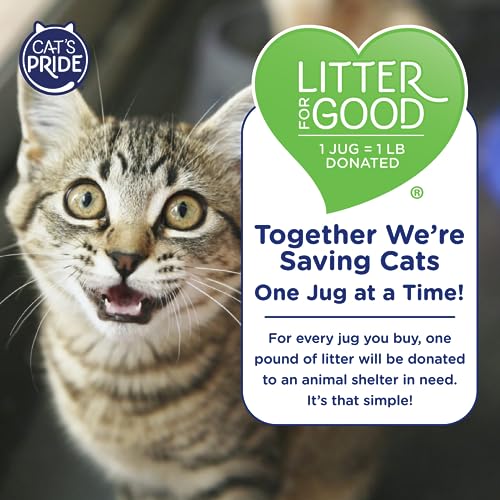Detalle de Cat's Pride Antibacterial Litter, Odor-Eliminating Scented 12lb