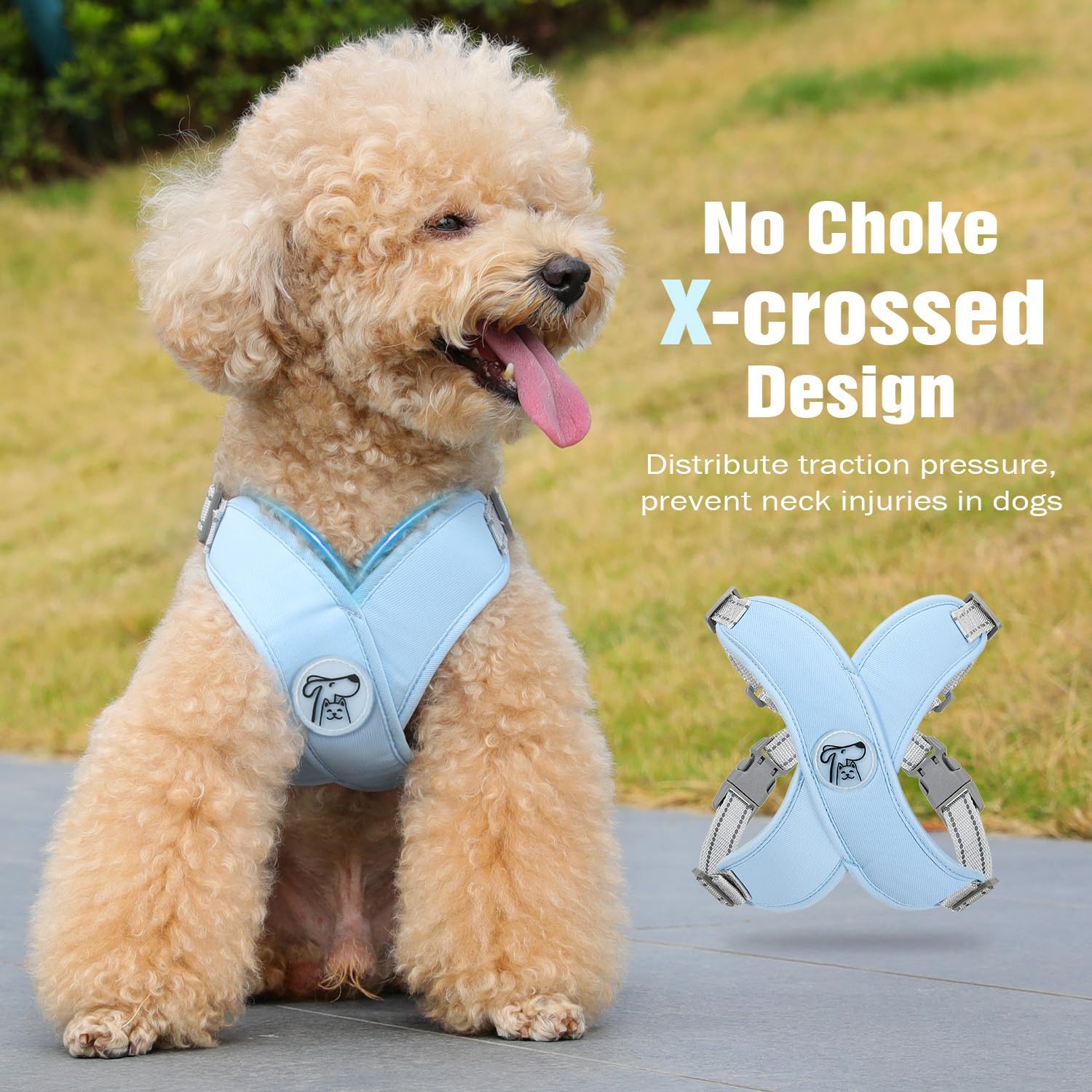 Detalle de Pawaboo Puppy Harness and Lead Sets – Small Dog X-Frame No Pull No Choke, Blue (Size M)