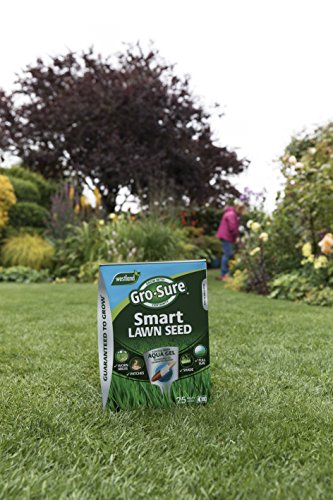 Thumbnail 7 de Gro-Sure Aqua Gel Coated Smart Grass Lawn Seed, 25 m2, 1 kg